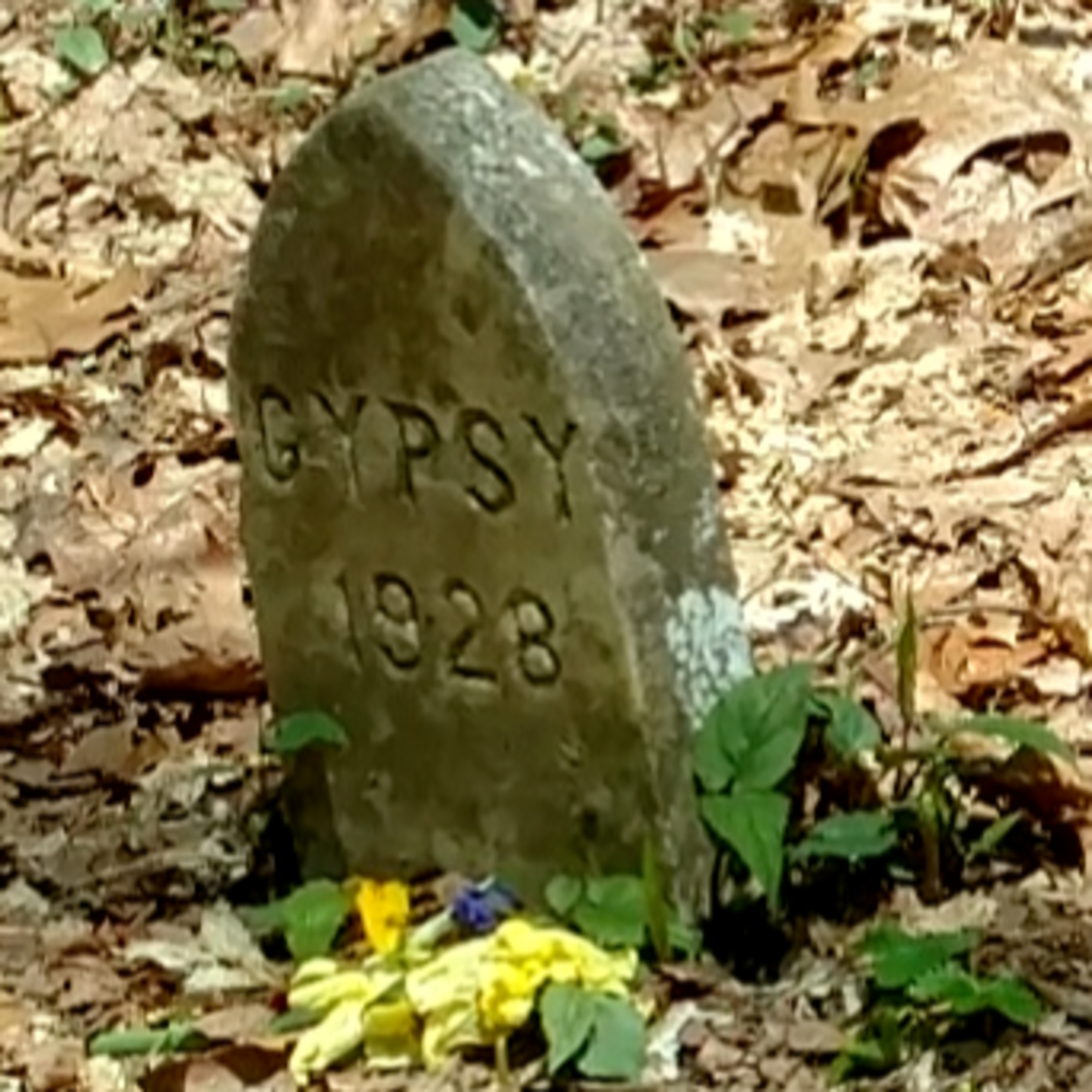 Horse Grave E112 episode artwork