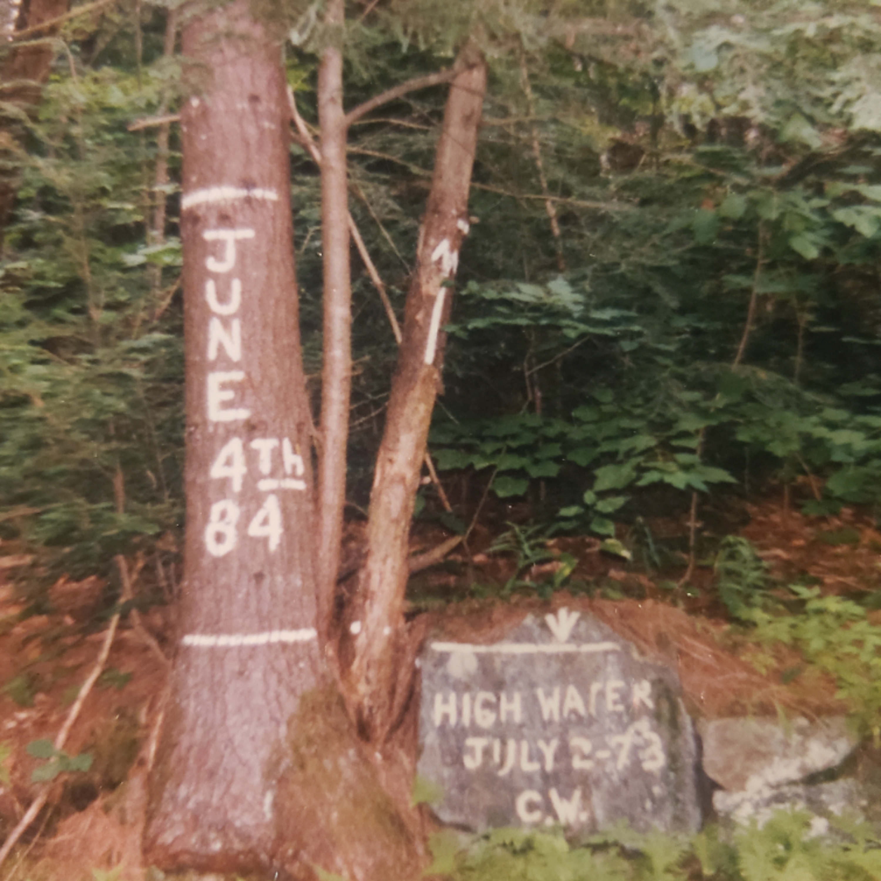 Hill, NH E39 episode artwork