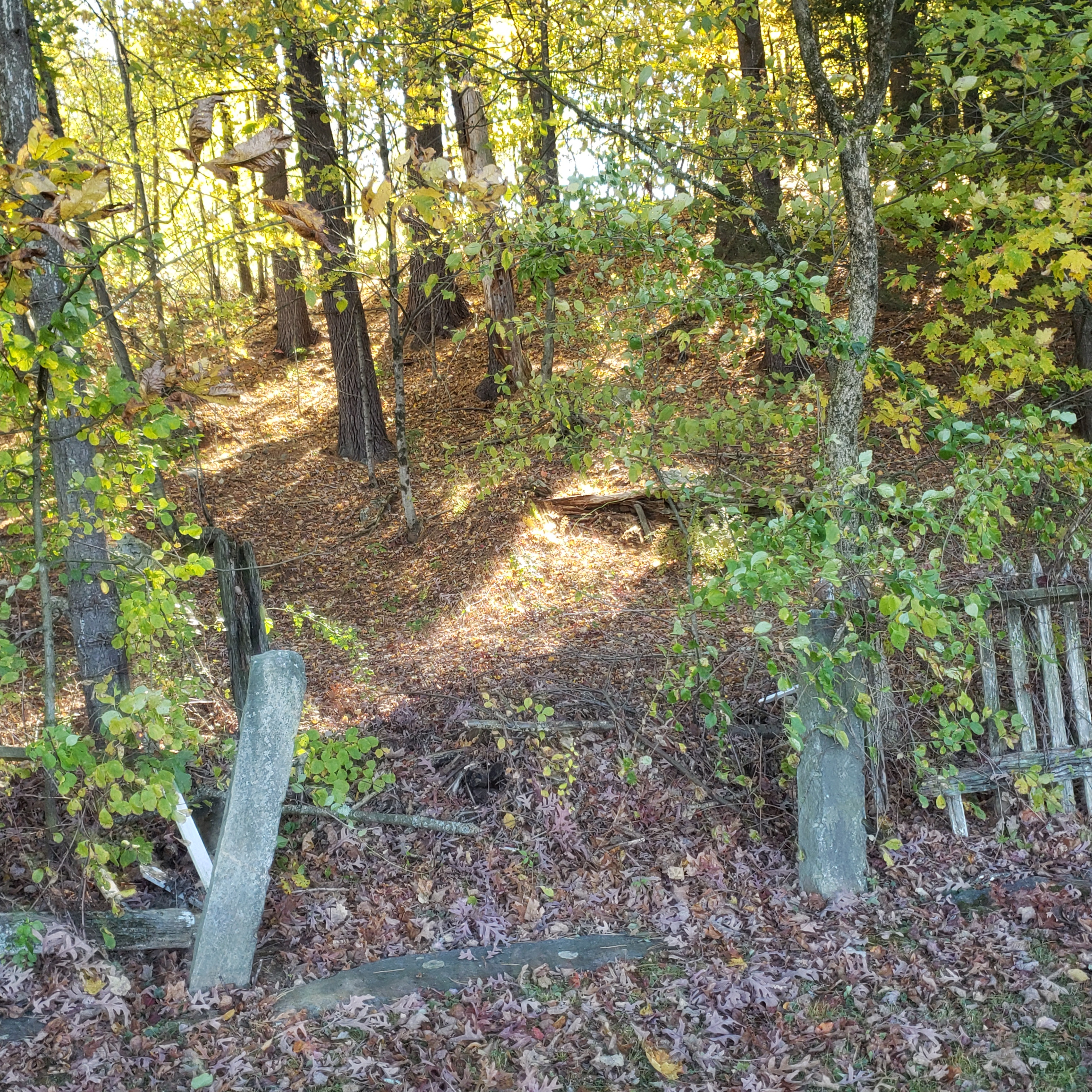 Hillsboro, Mass. E135 episode artwork