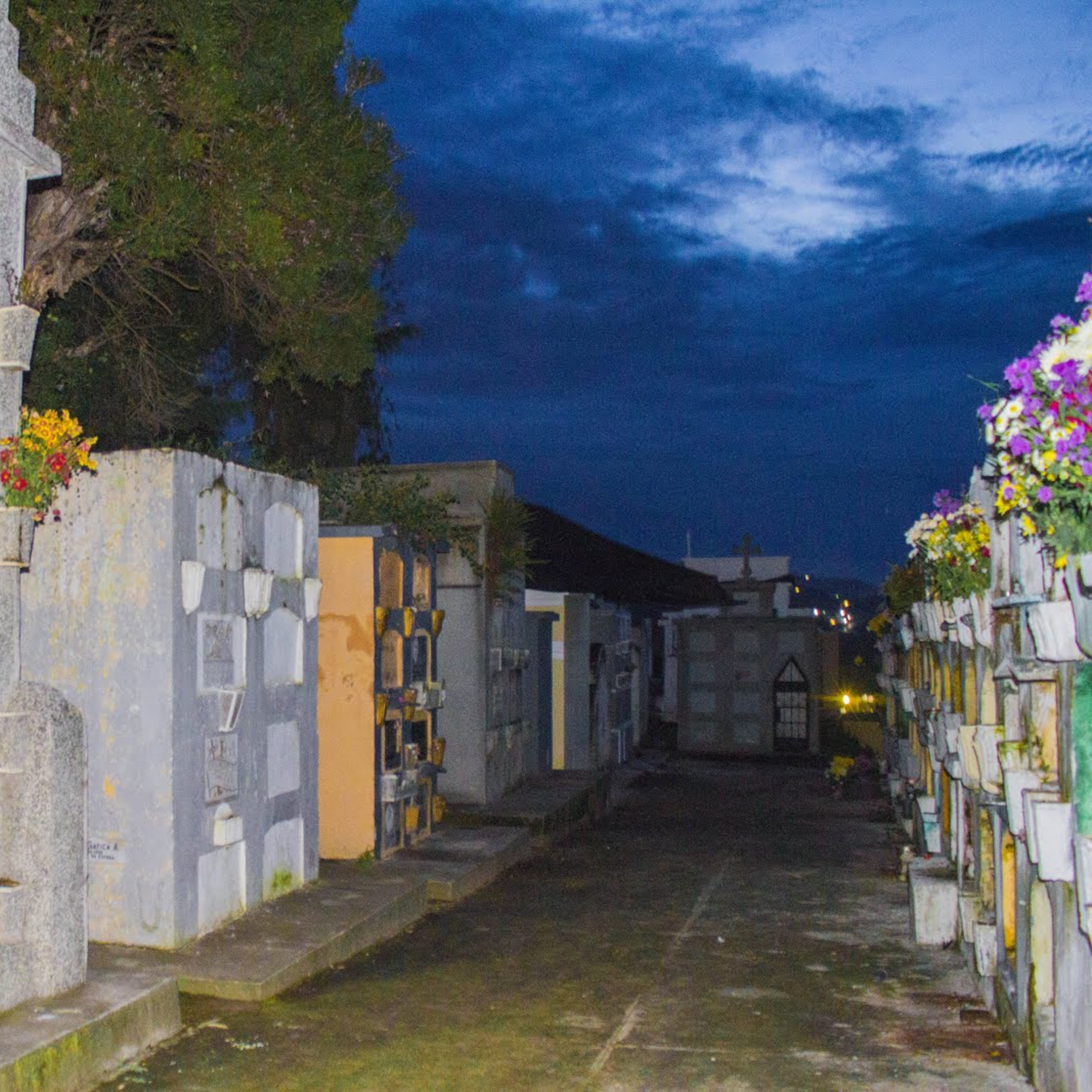 Episodio 2 - El día de muertos en Guatemala episode artwork
