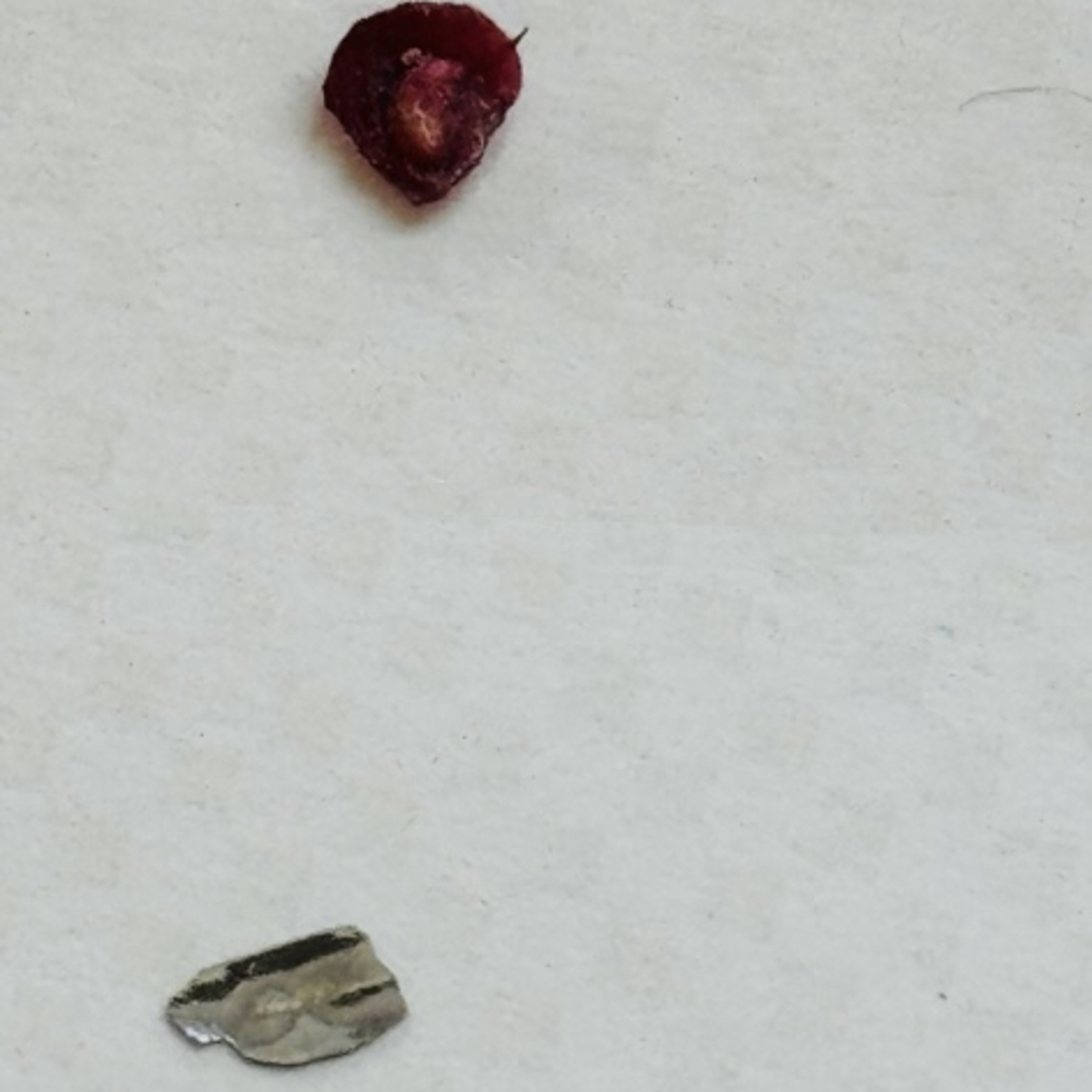 Nano-demons: Morgellons