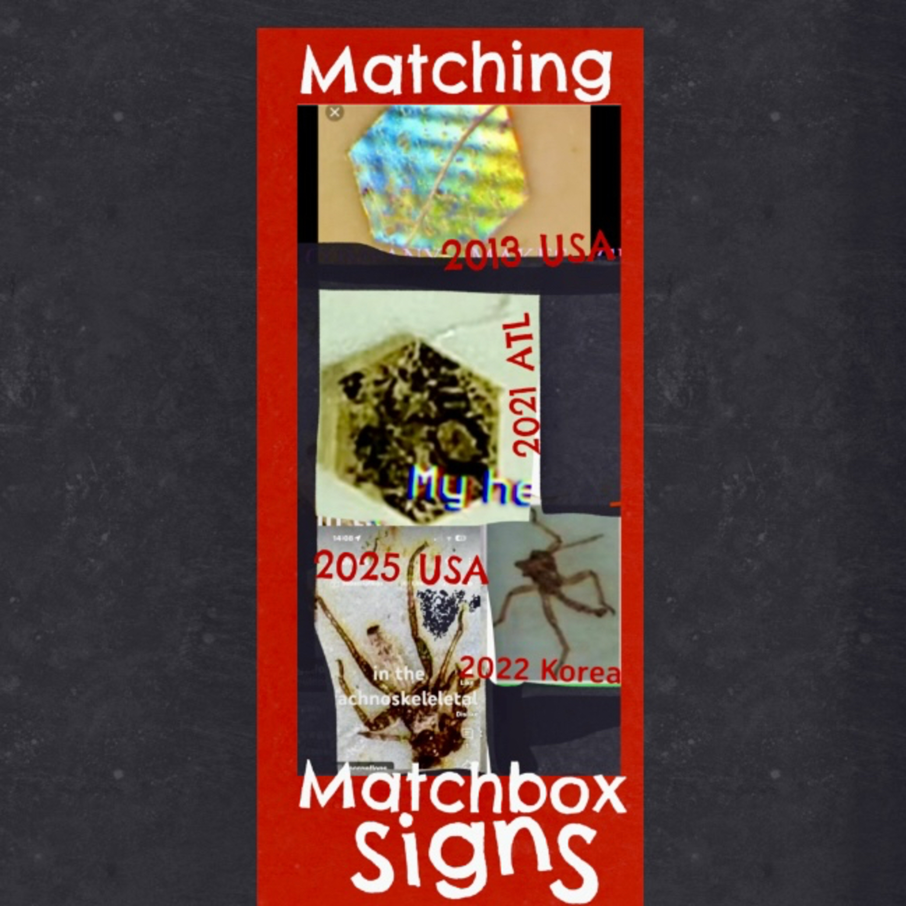 Morgellons Community