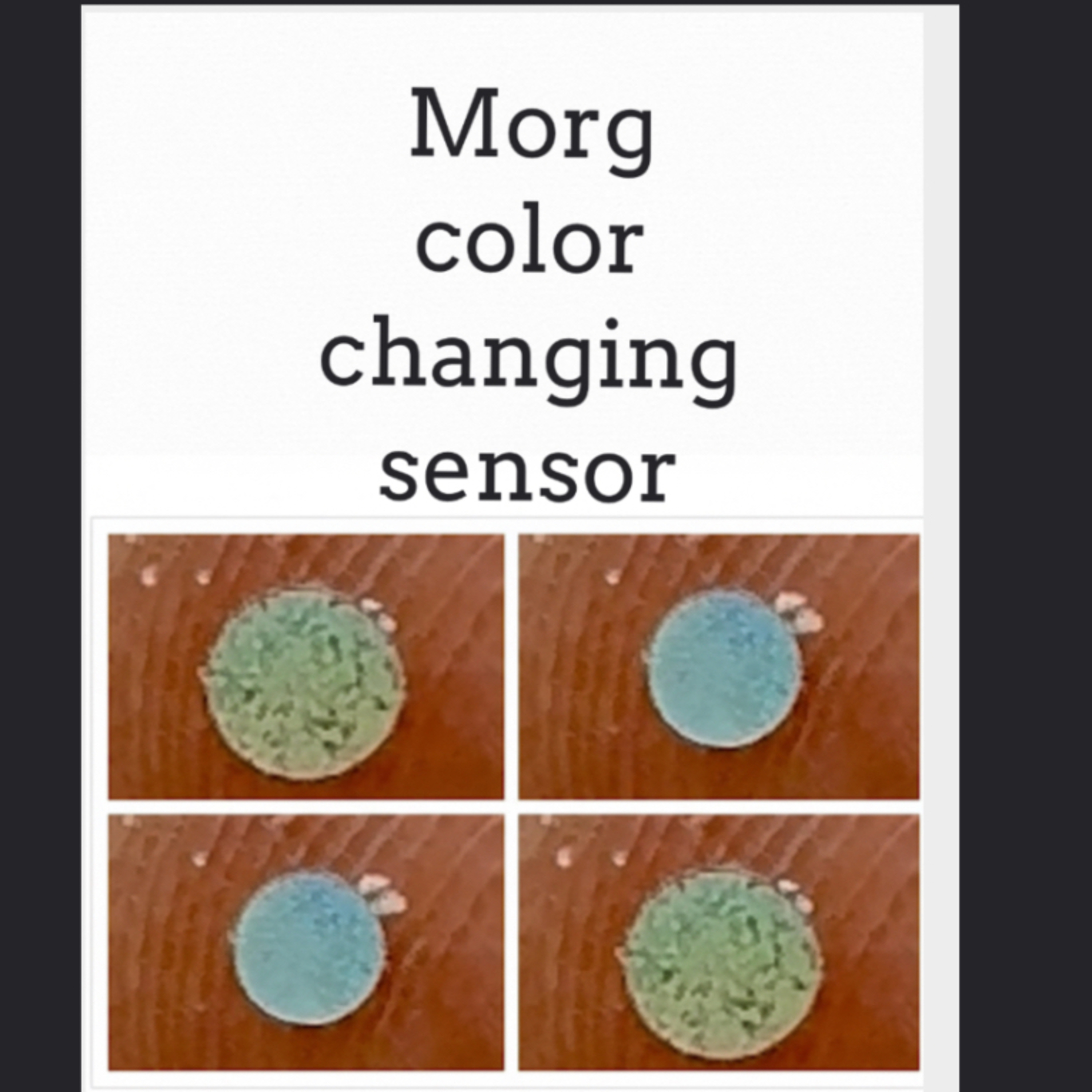 Morgellons Research 2025