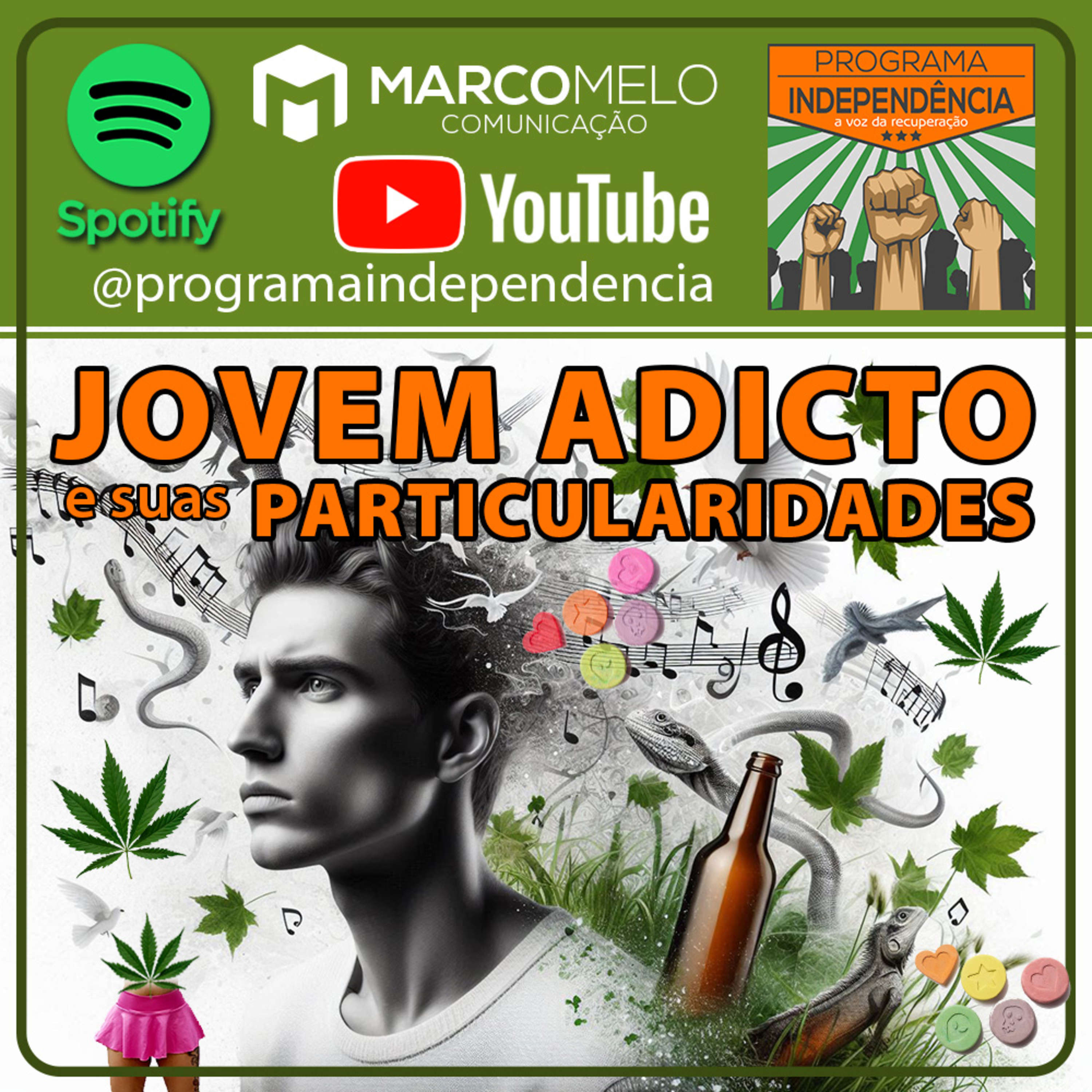 Jovem adicto e suas particularidades episode artwork