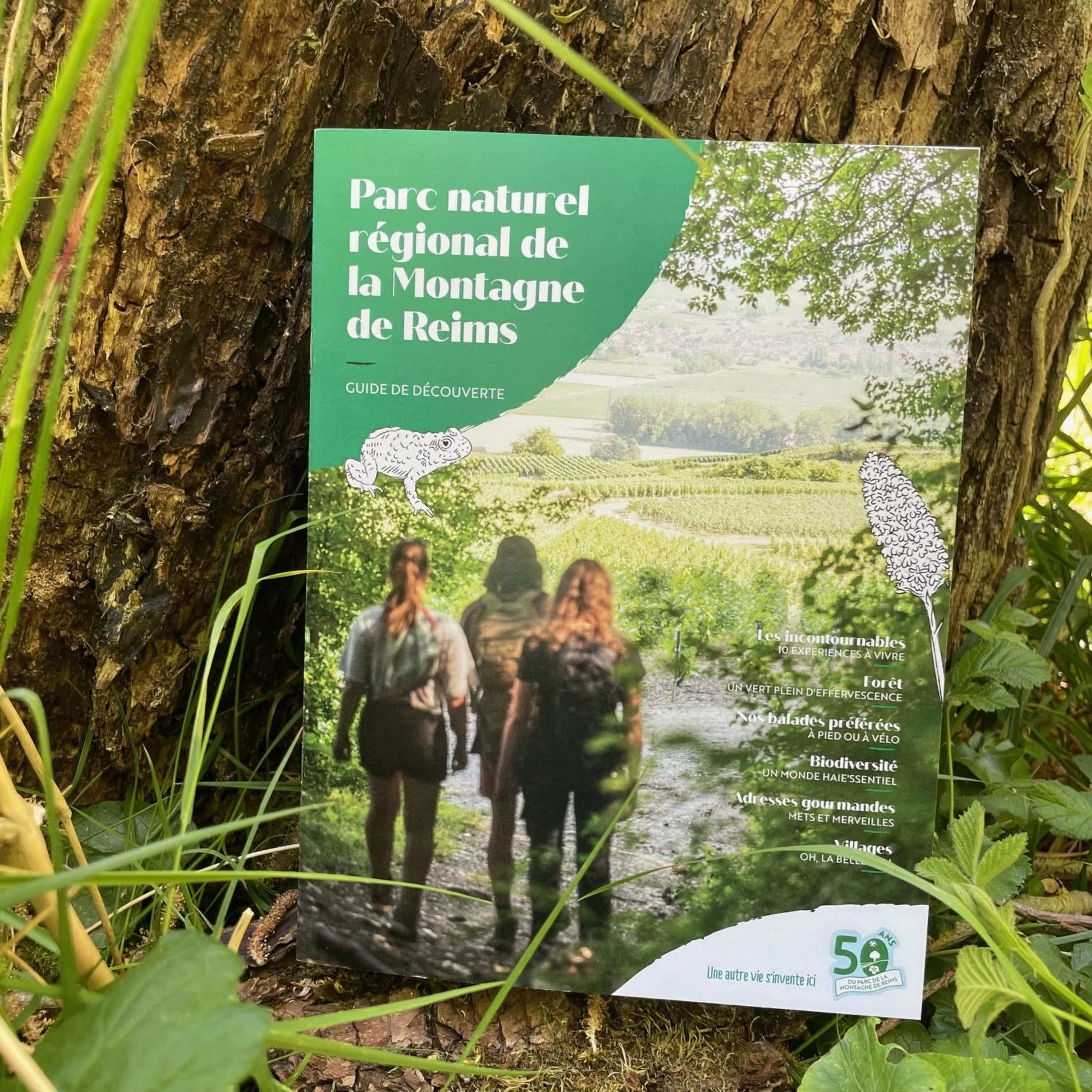 L'invitée RJR - Guide sur le parc naturel régional de la montagne de Reims episode artwork