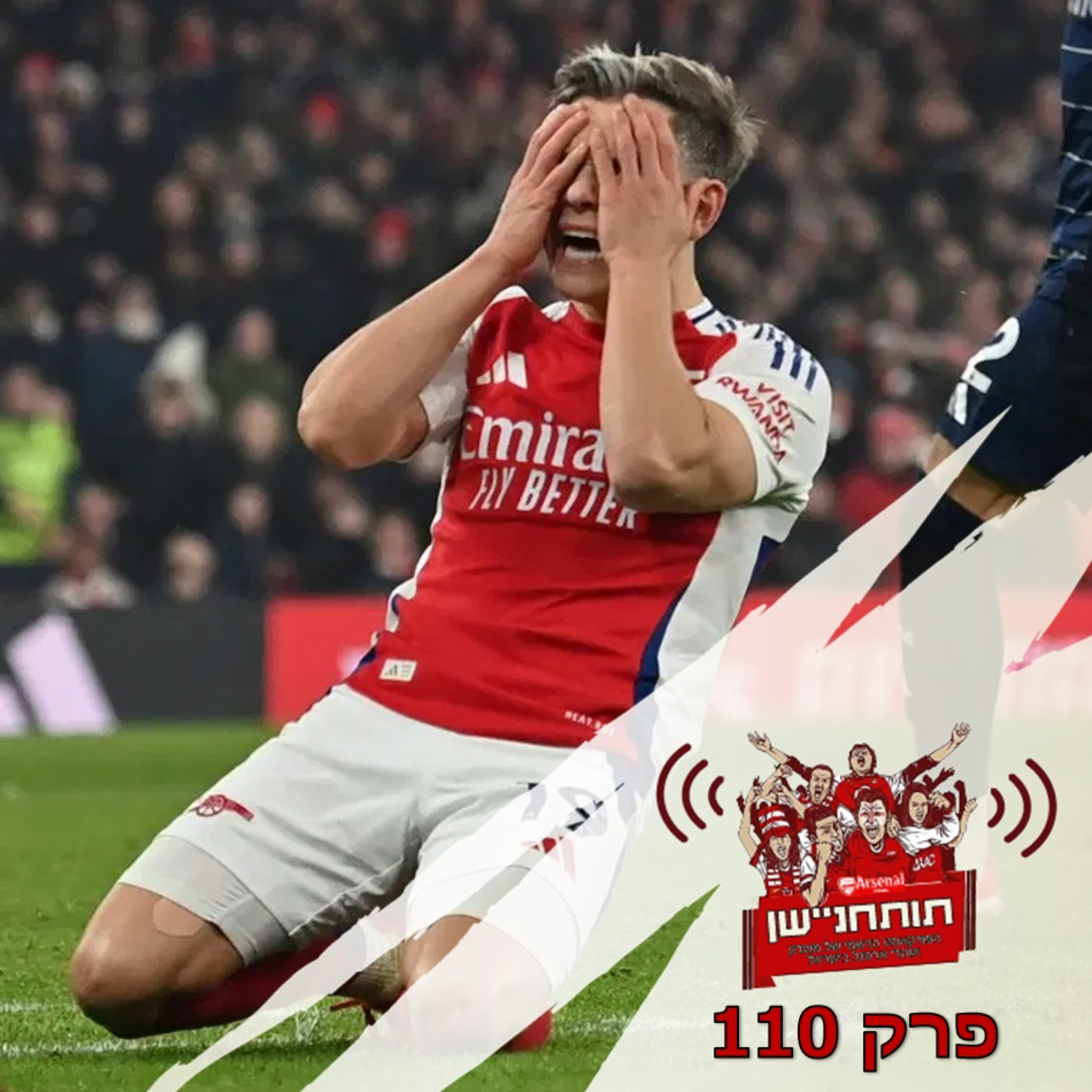 פרק 110 - כלים מוגבלים על אתגרים מרובים