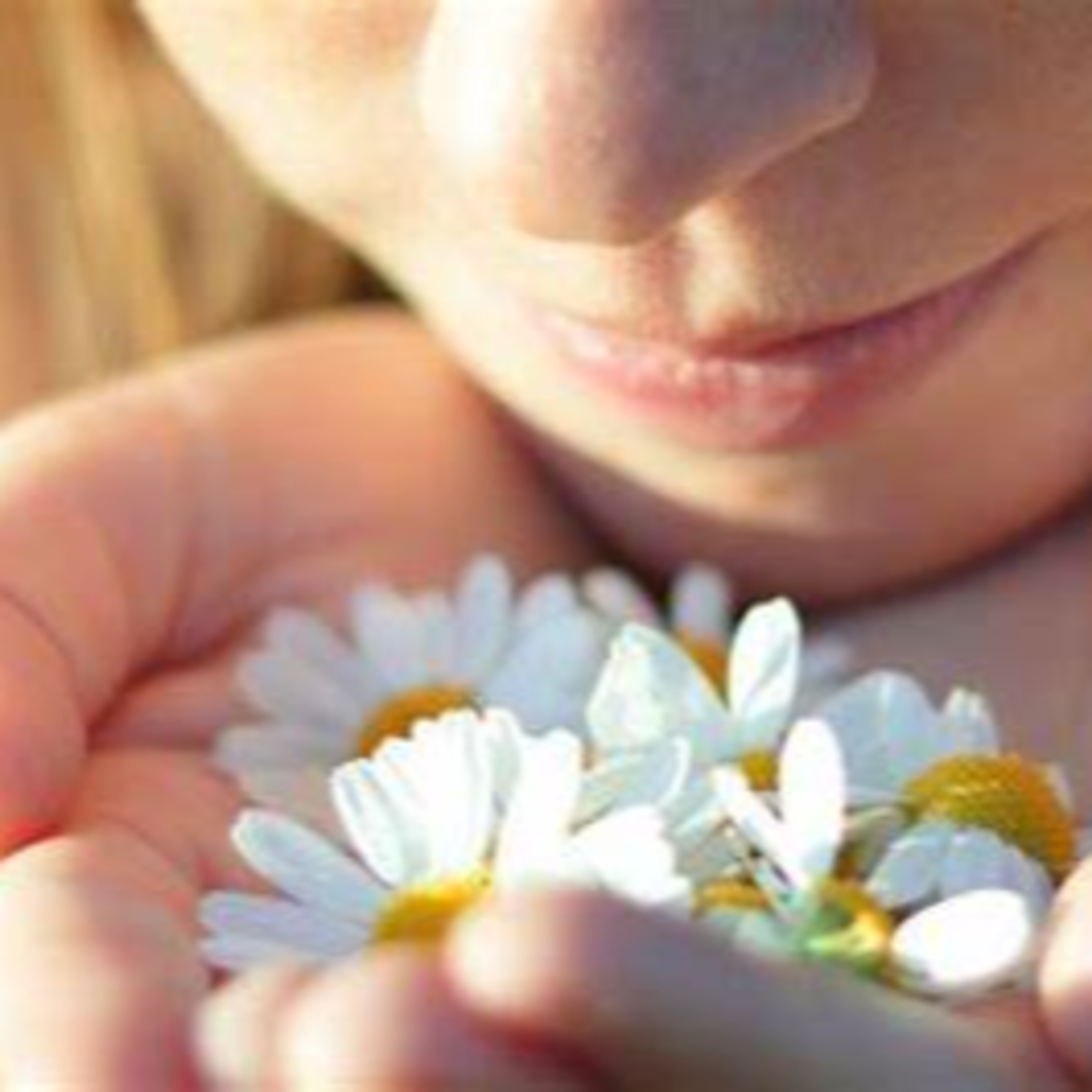 Meditaciones Sol Murias