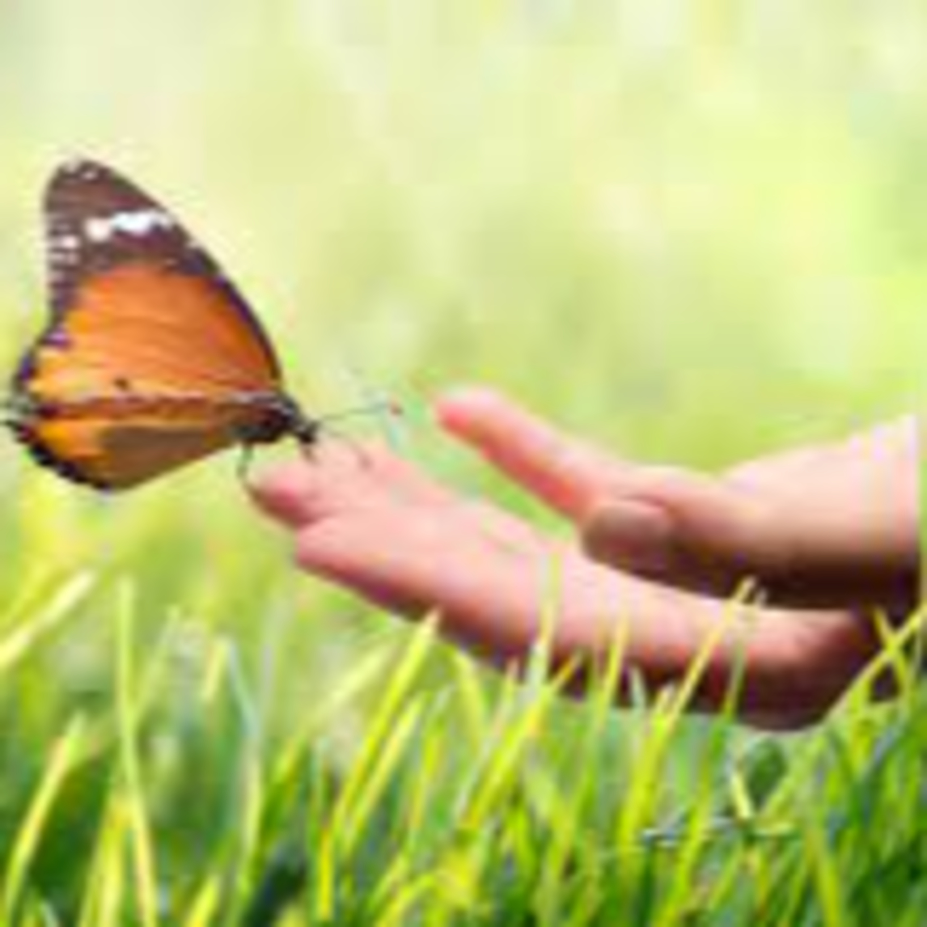 Meditaciones Sol Murias