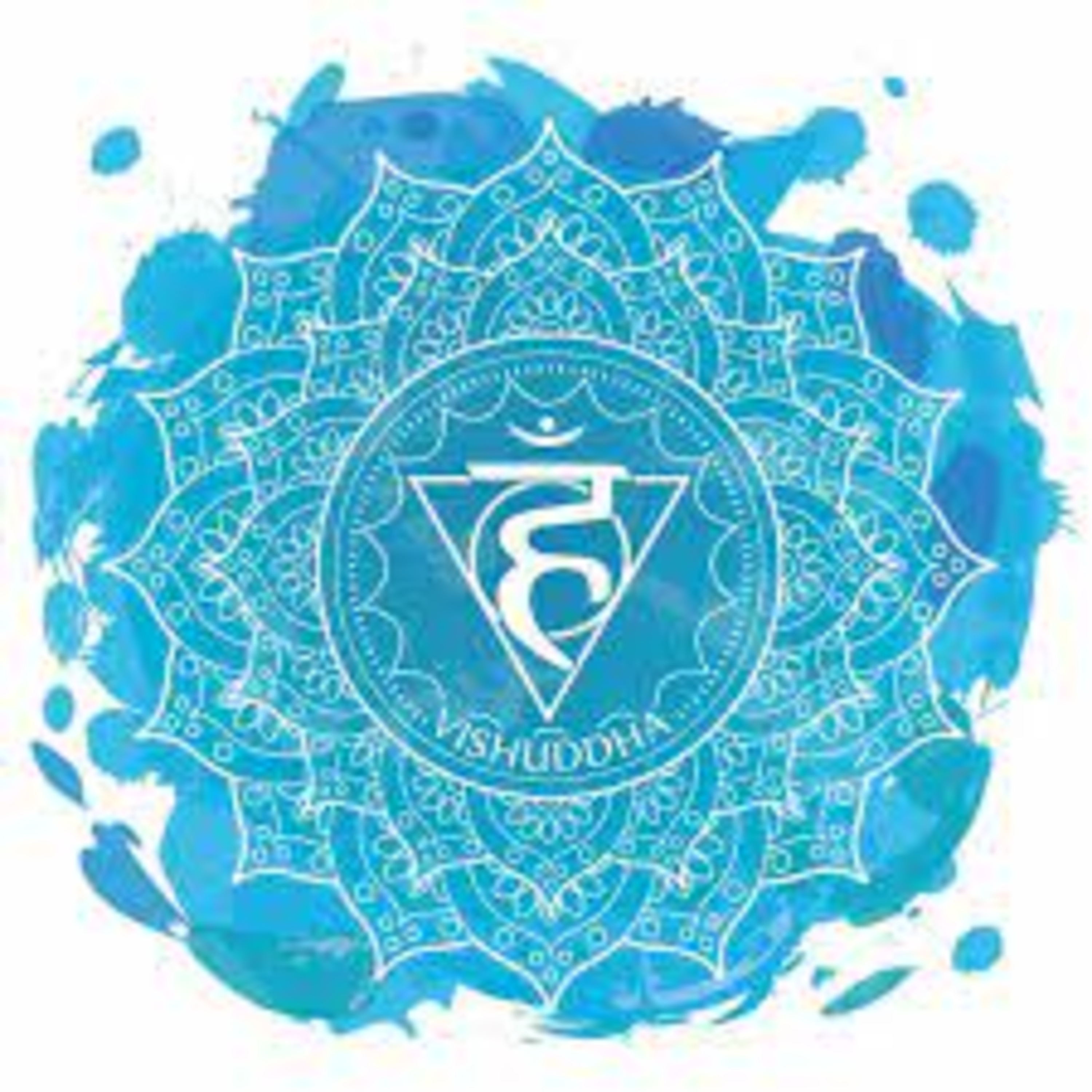 Meditaciones Sol Murias