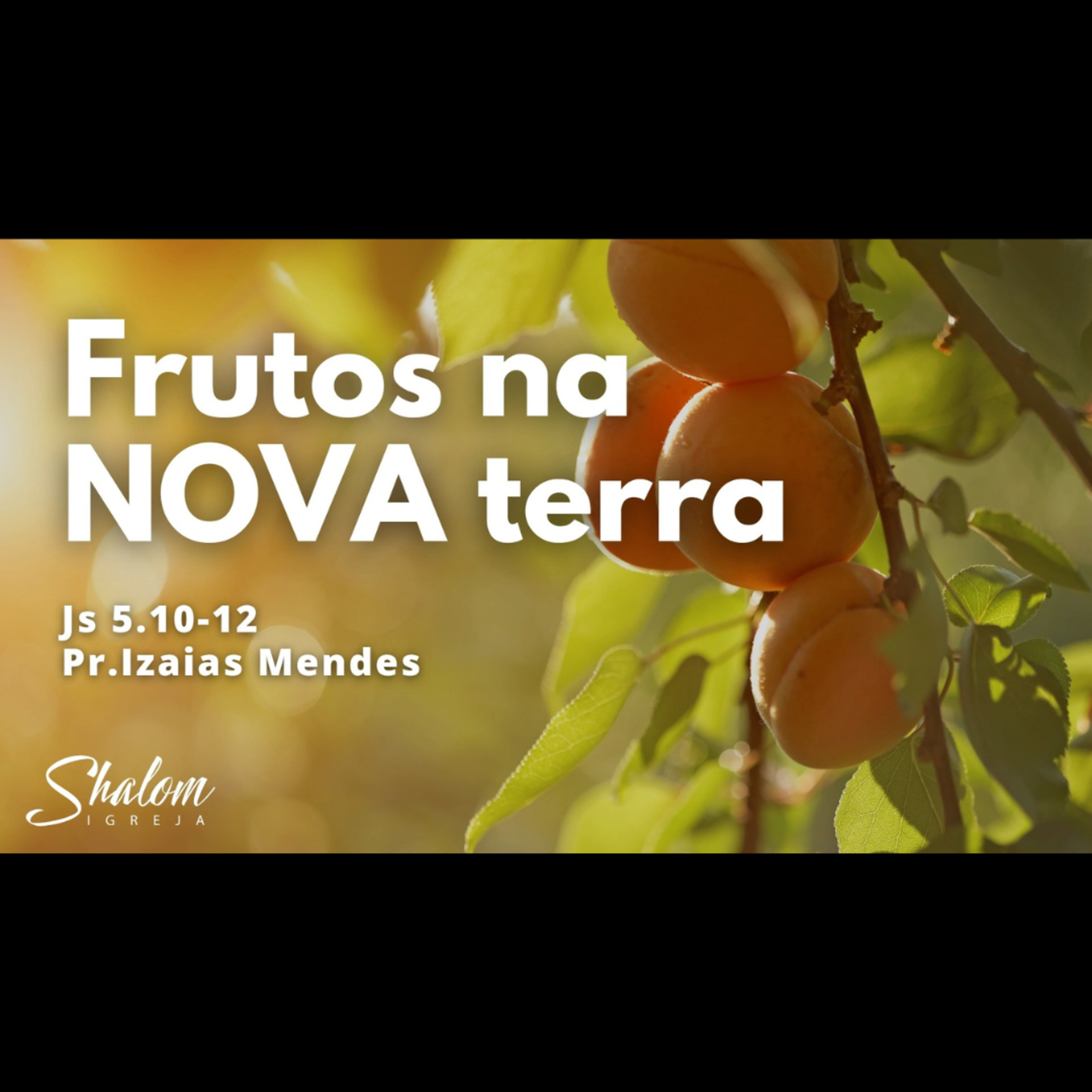 Shalom Igreja Cristã