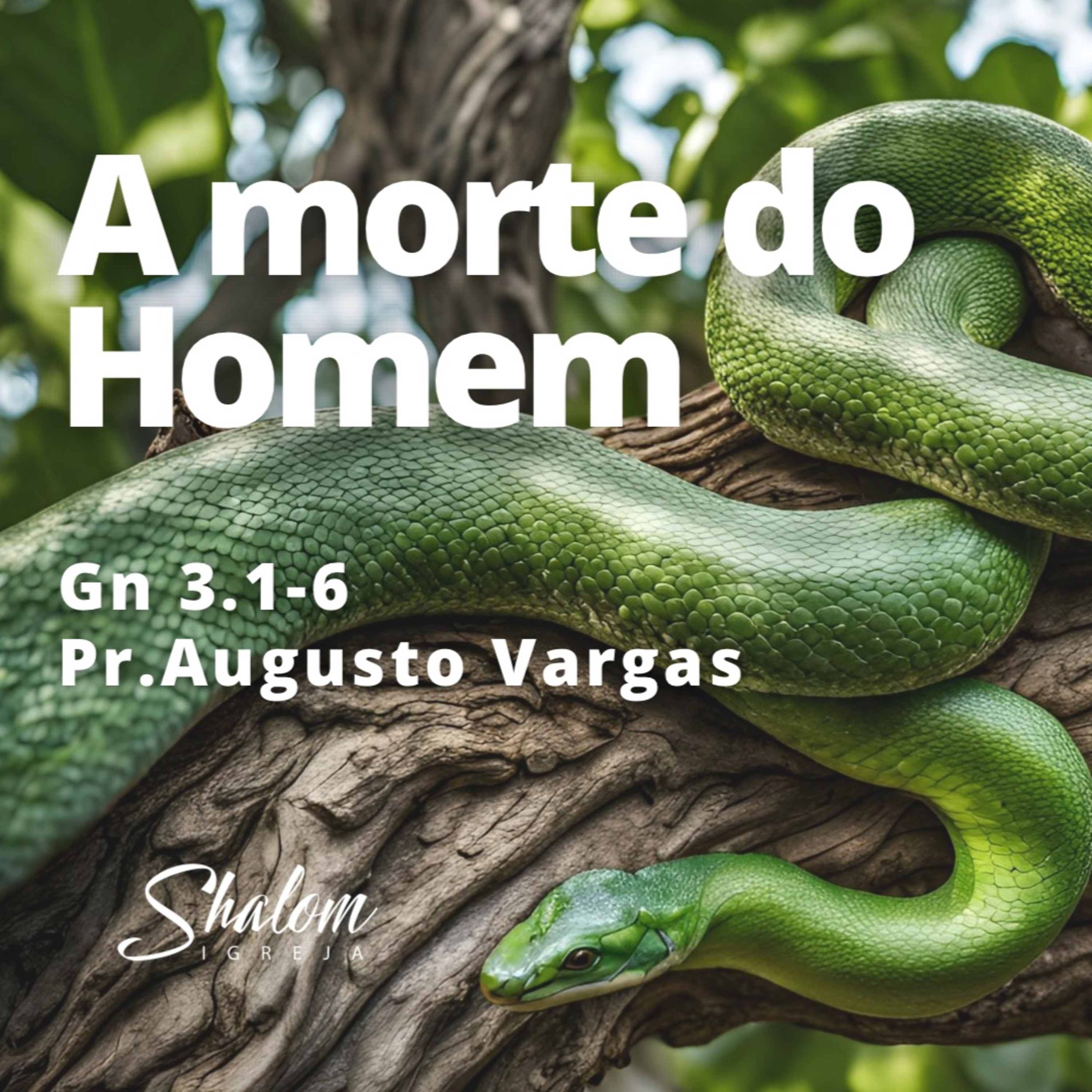 Shalom Igreja Cristã