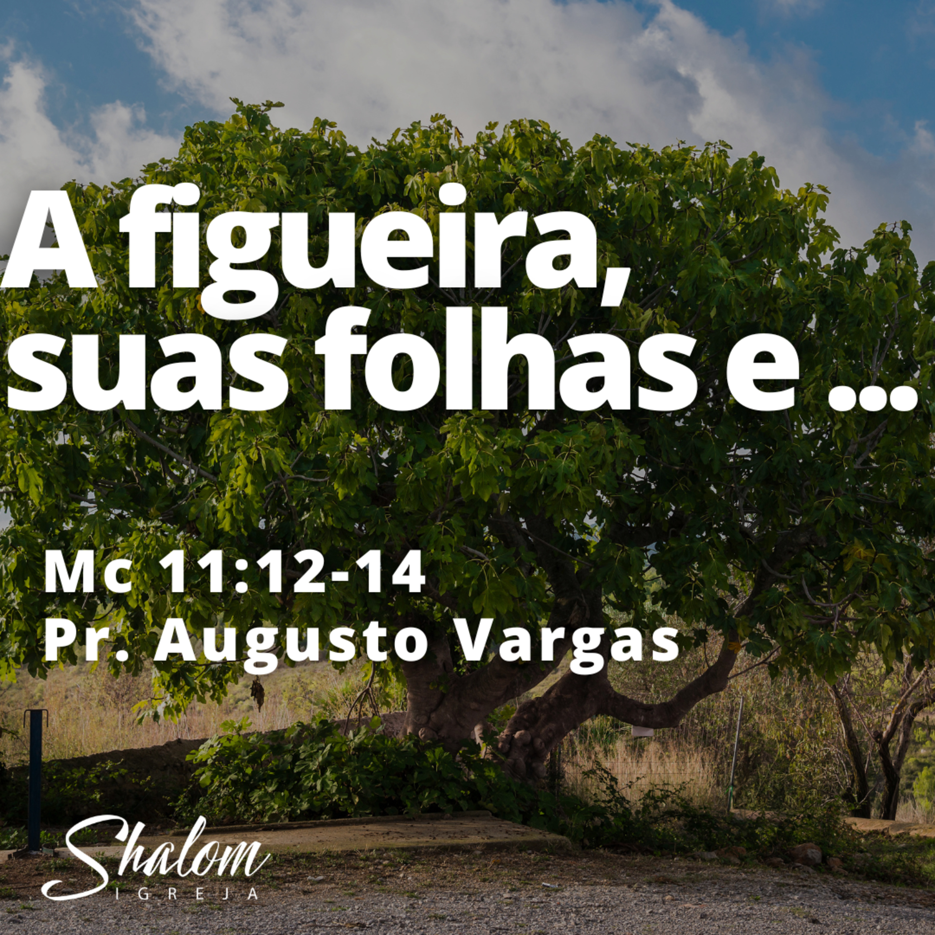 A figueira, suas folhas e... - Pr. Augusto Vargas - 03-08-2025 episode artwork