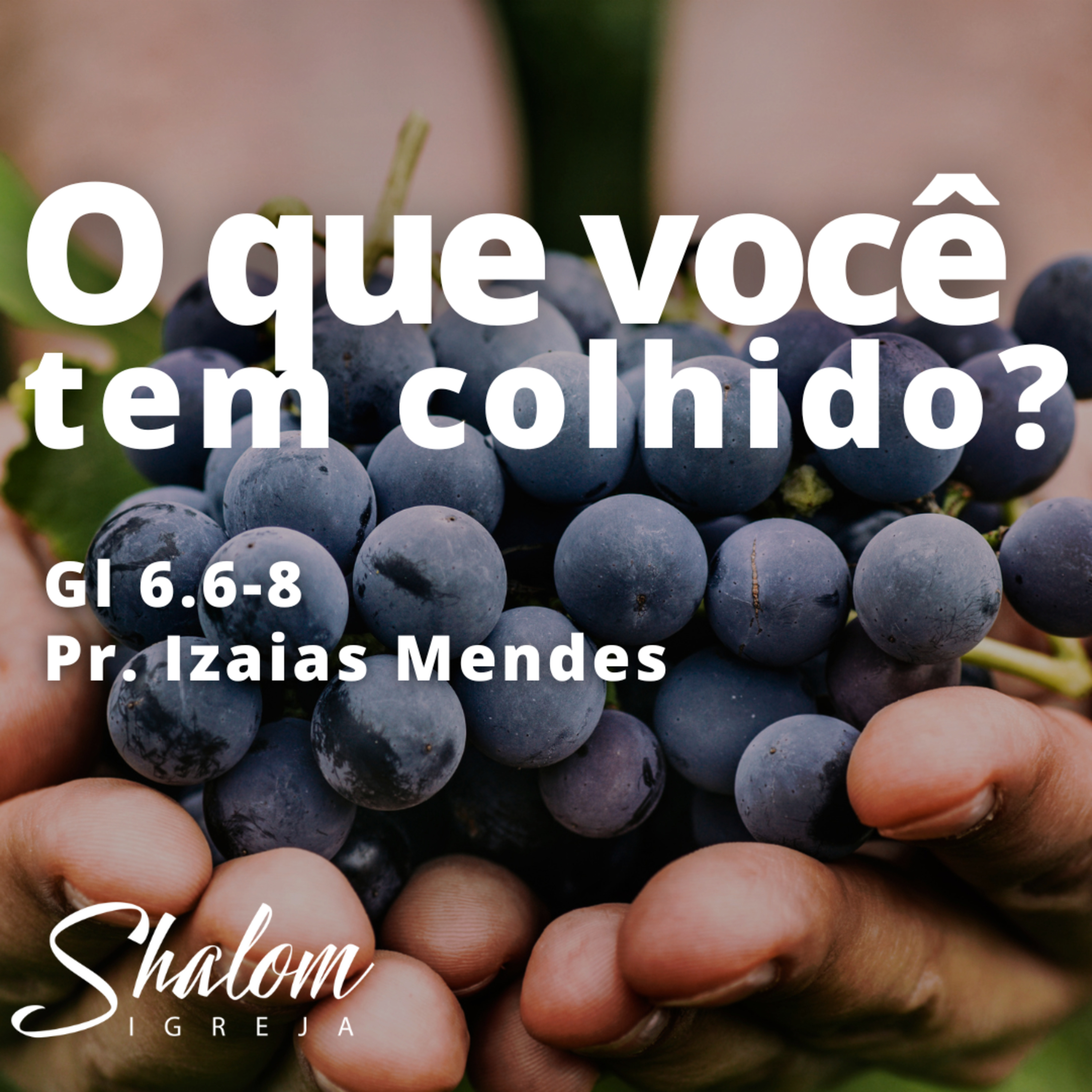 O que você tem colhido? - Pr. Izaias Mendes - 05-10-2025 episode artwork