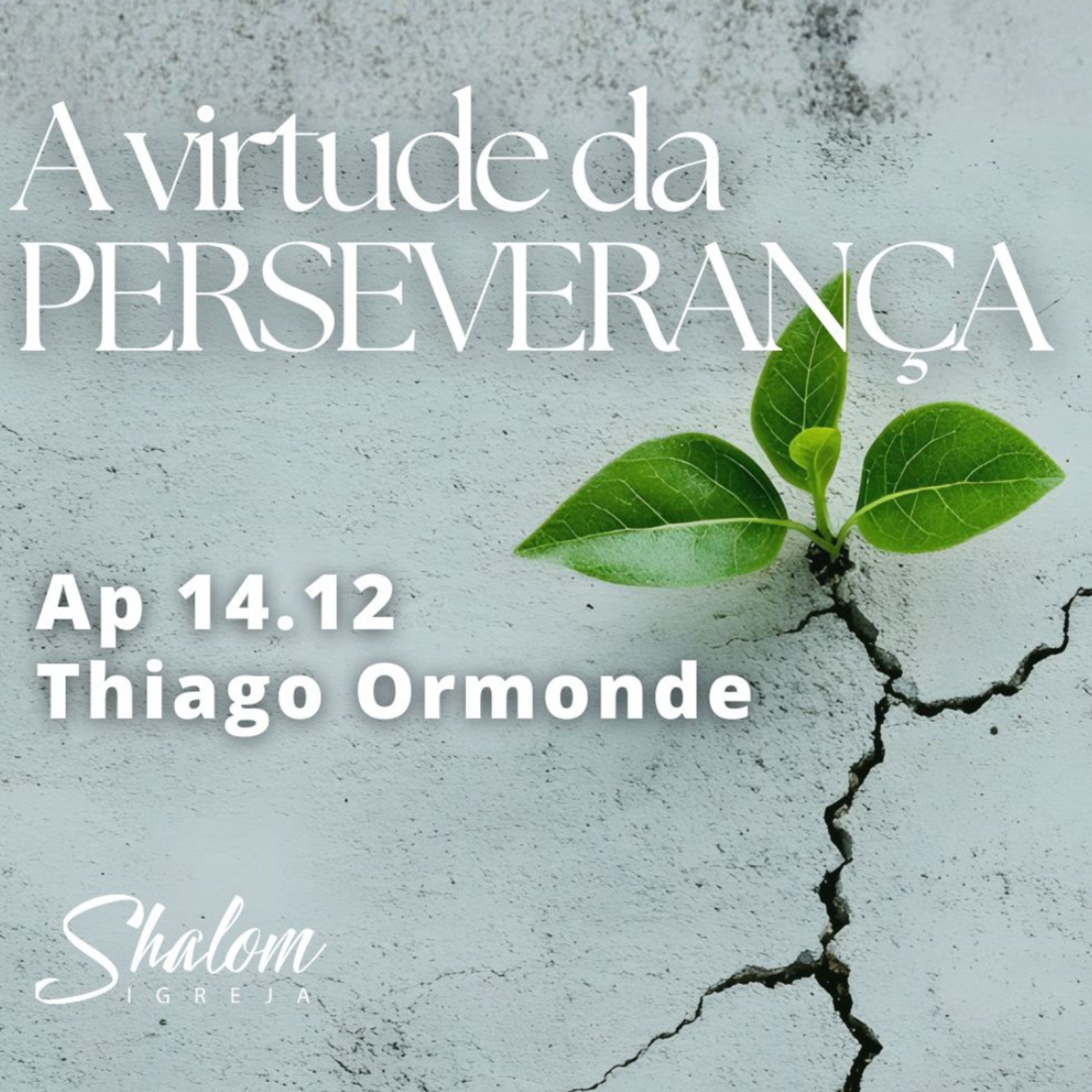A virtude da perseverança - Thiago Ormonde - 19-07-2026 episode artwork