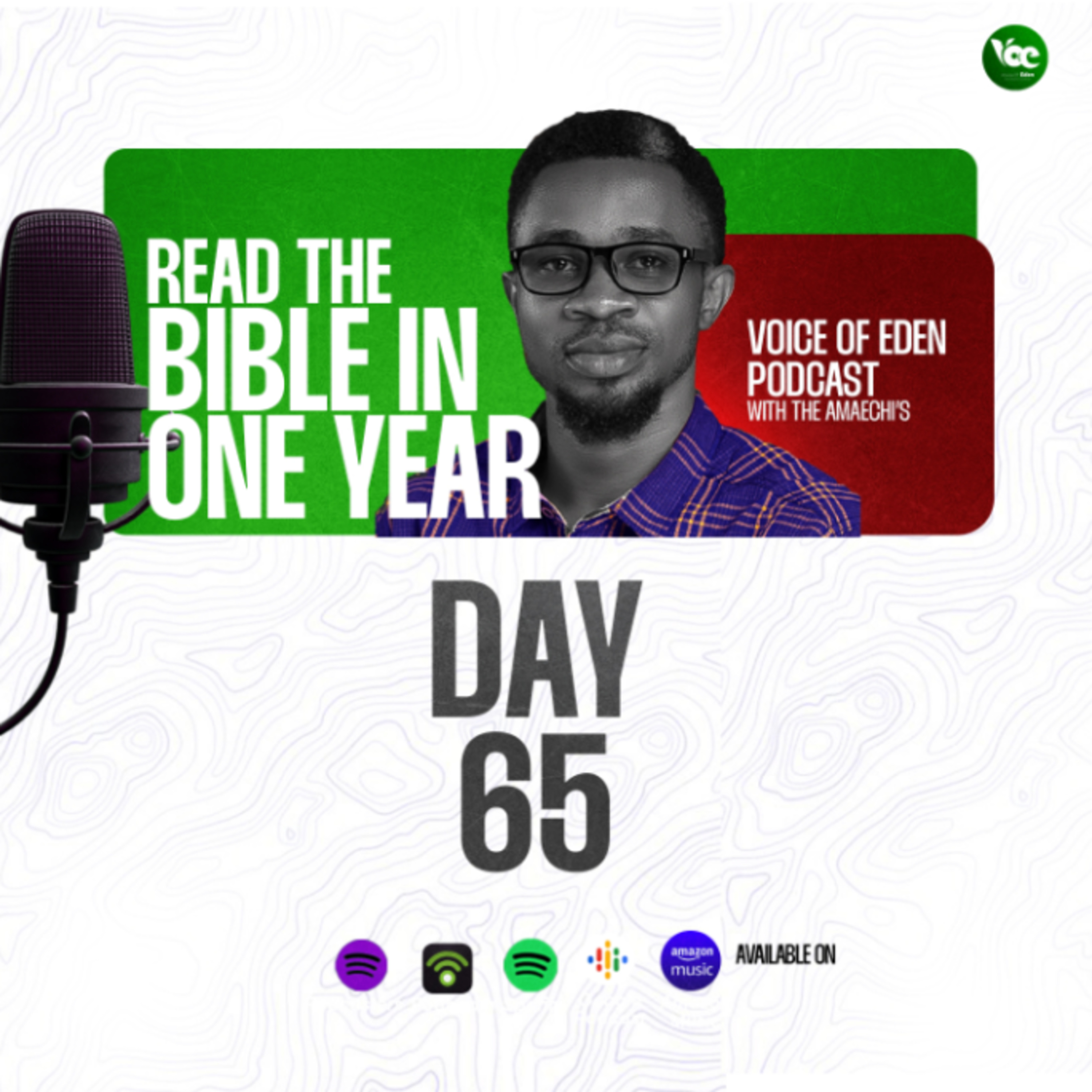 BIBLE IN ONE YEAR (DAY65) episode artwork