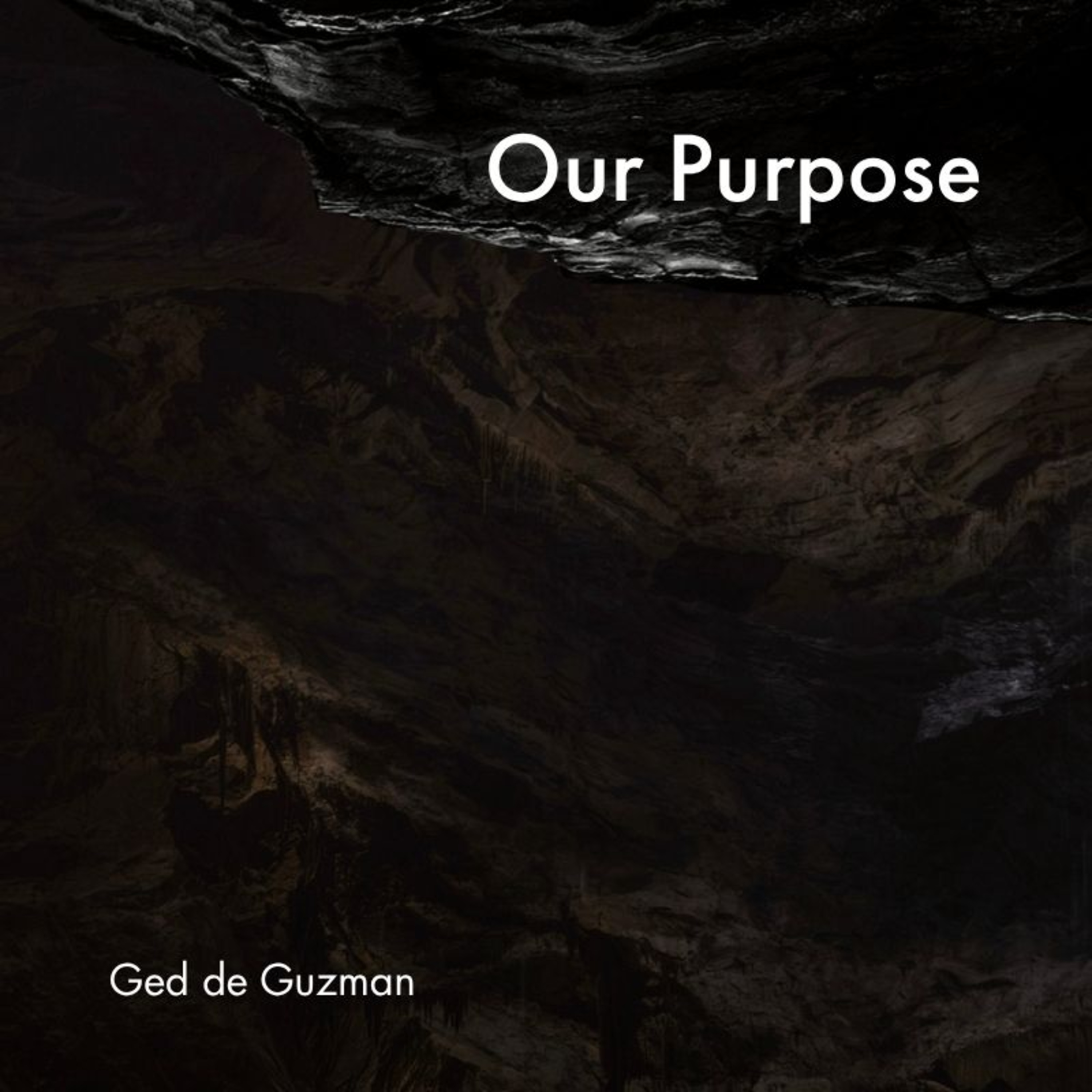 The Final Say 04: Our Purpose episode artwork