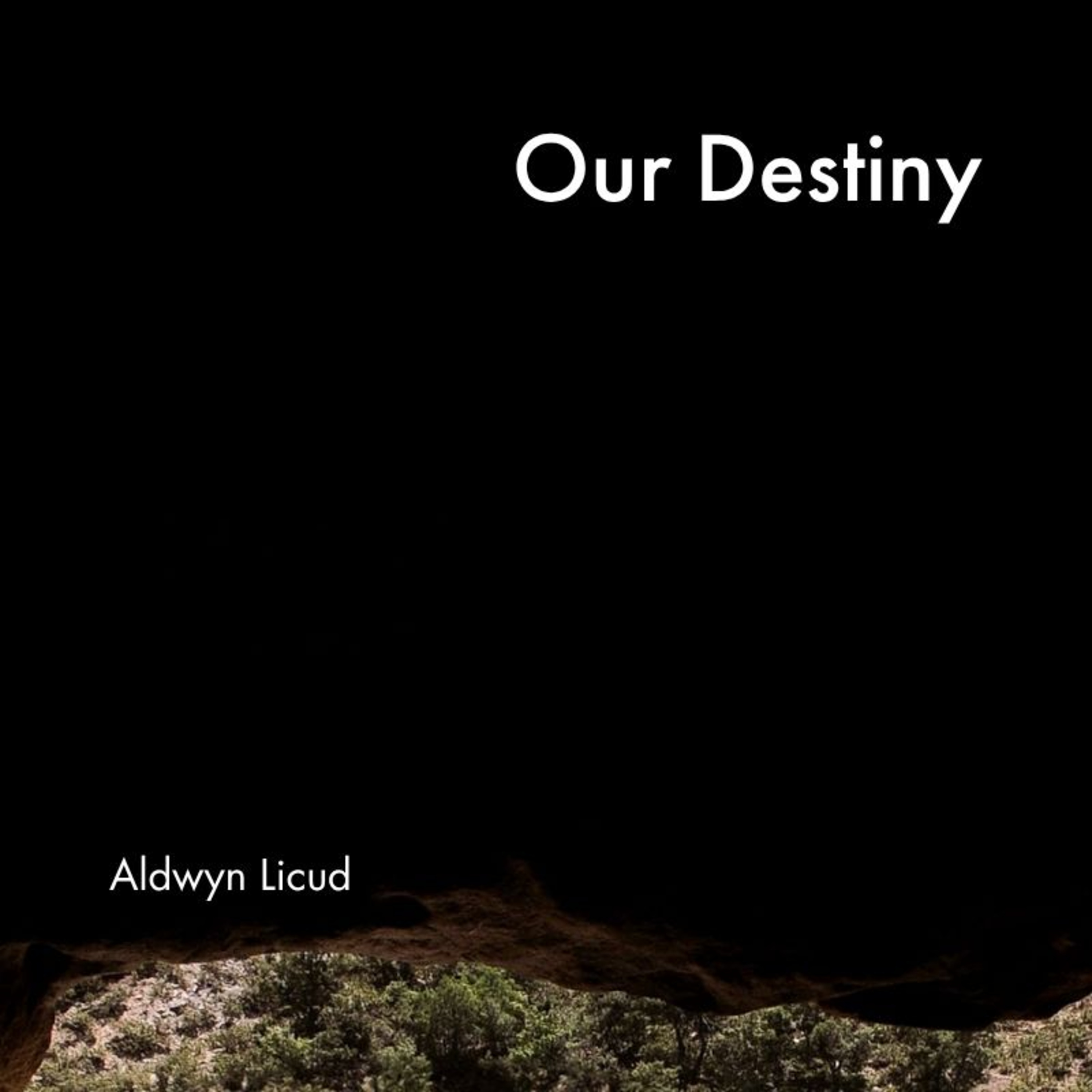 The Final Say 05: Our Destiny episode artwork