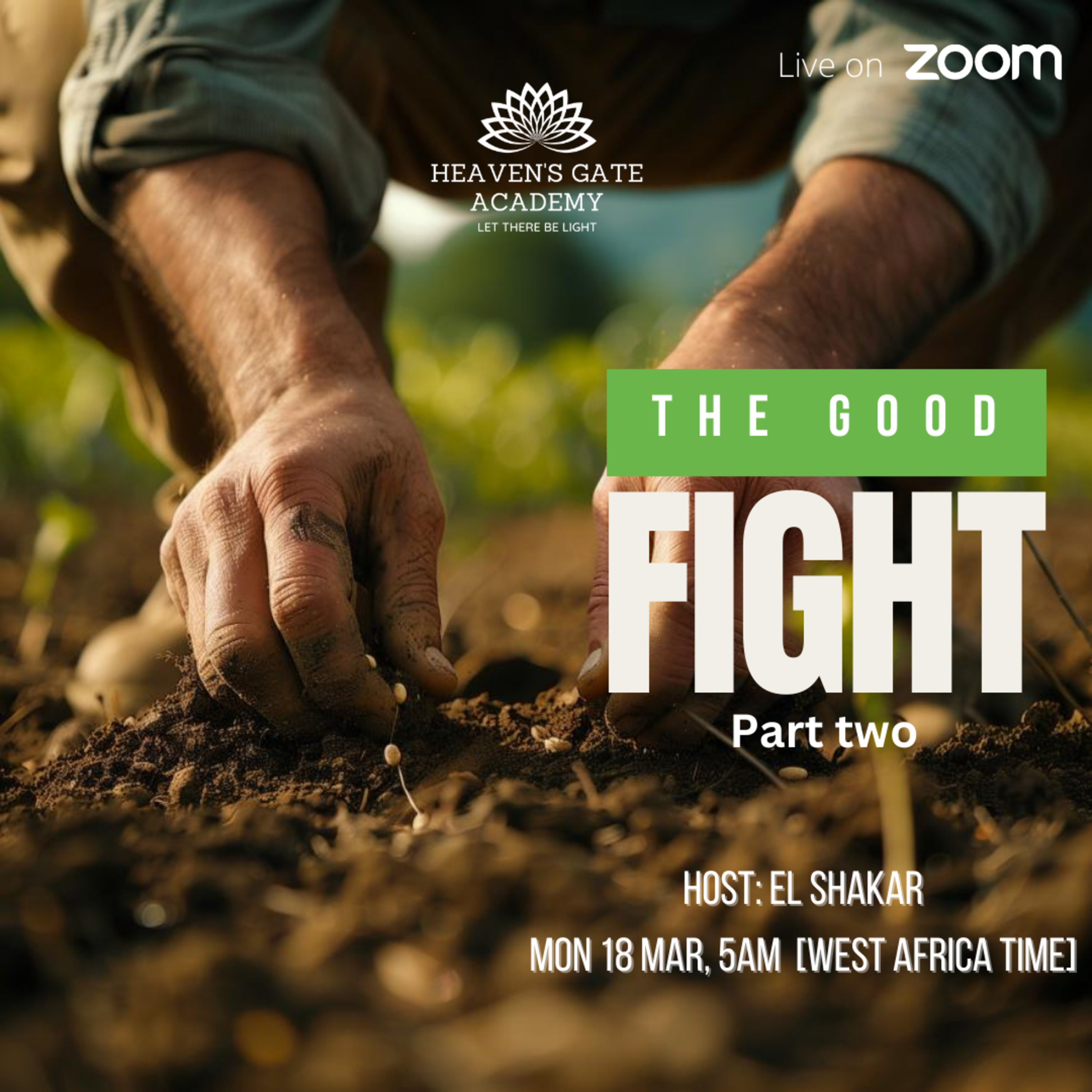 The Good Fight - Part two