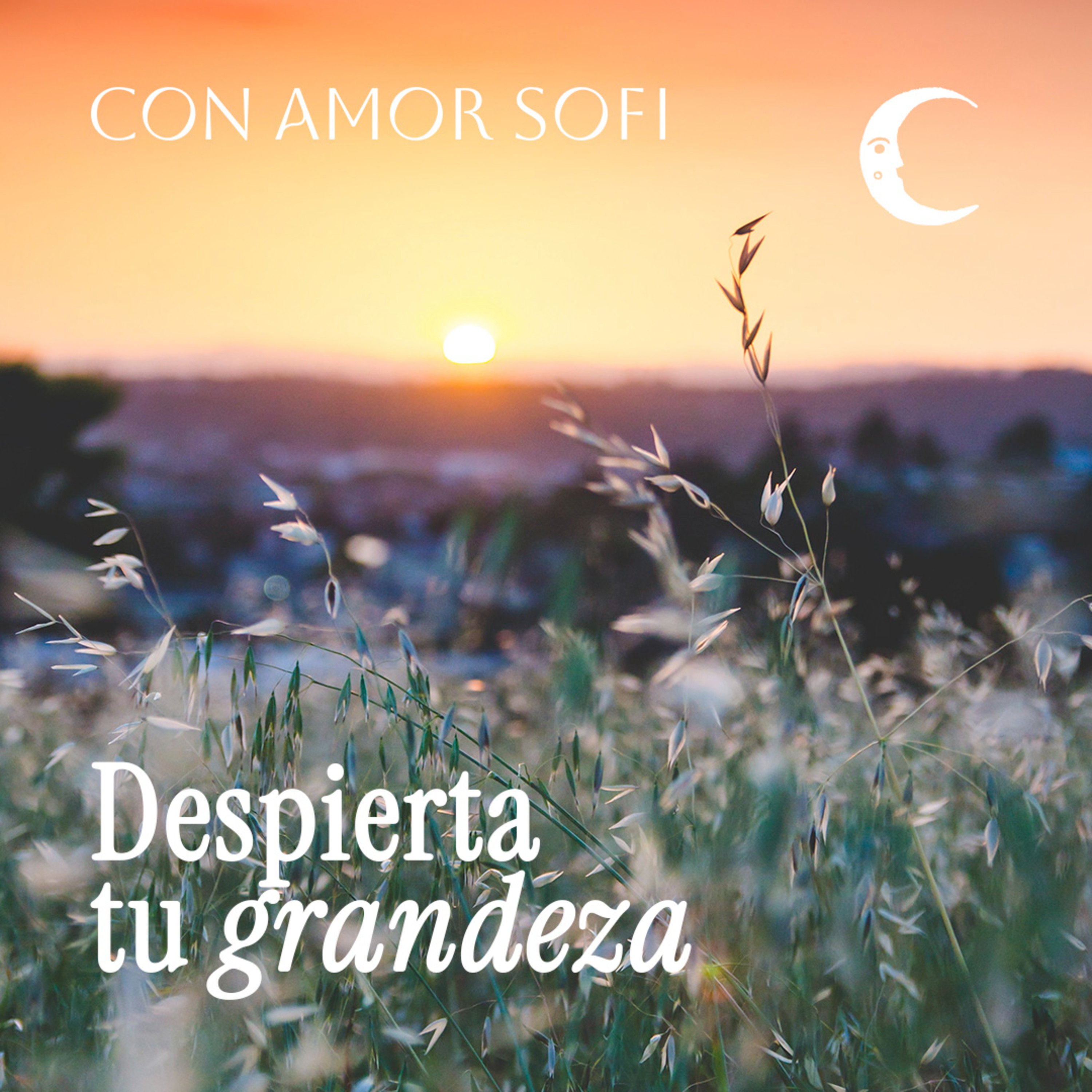 Con Amor. Sofi / Meditaciones guiadas