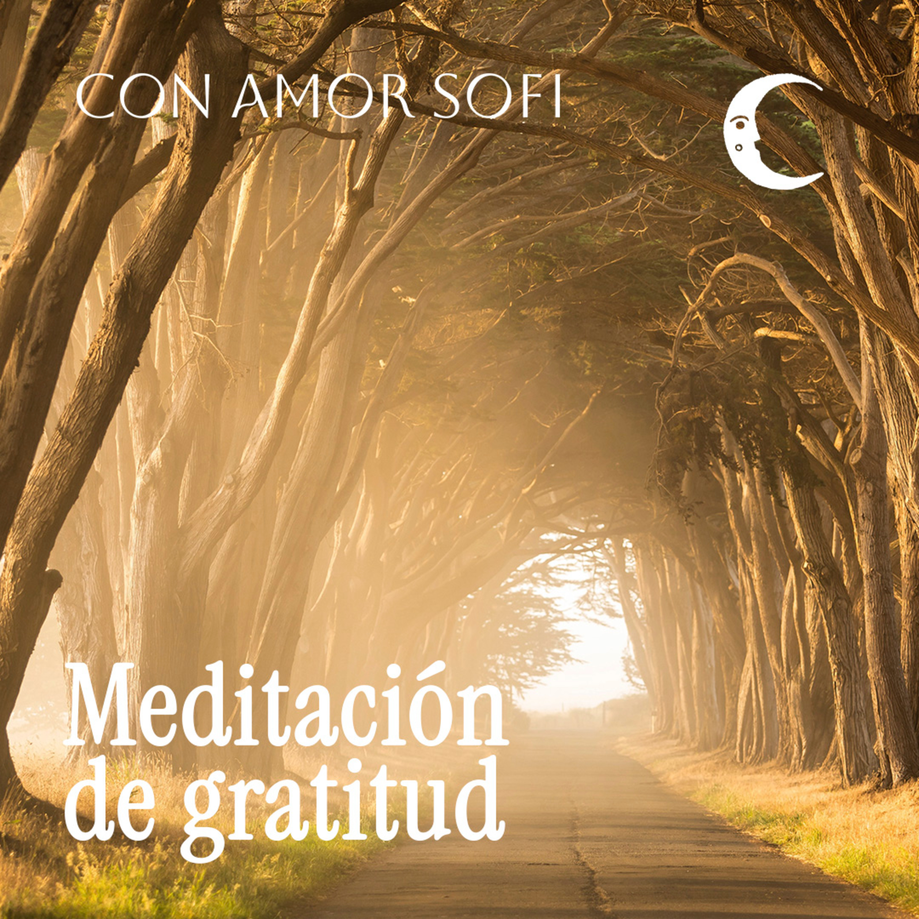 Con Amor. Sofi / Meditaciones guiadas