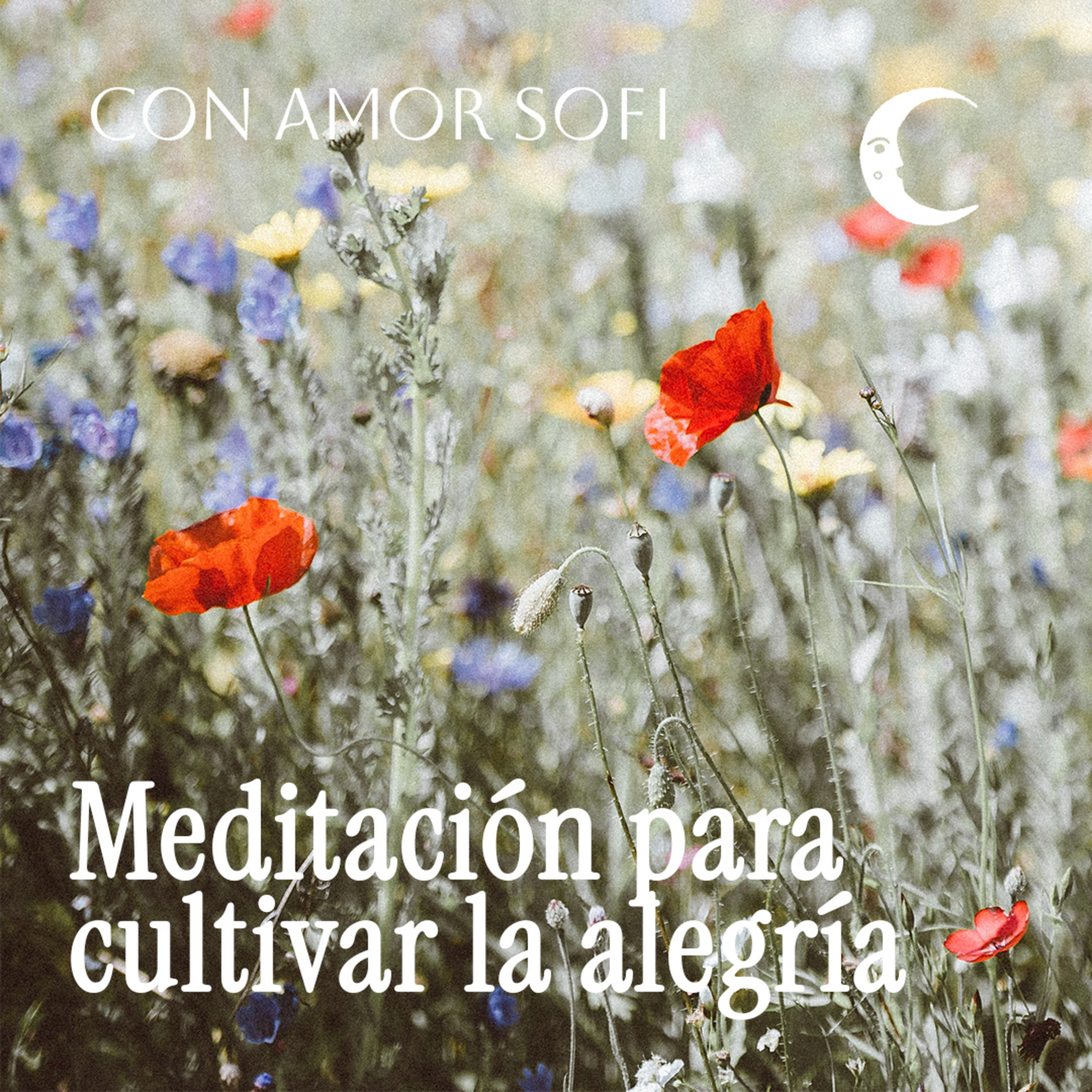 Con Amor. Sofi / Meditaciones guiadas