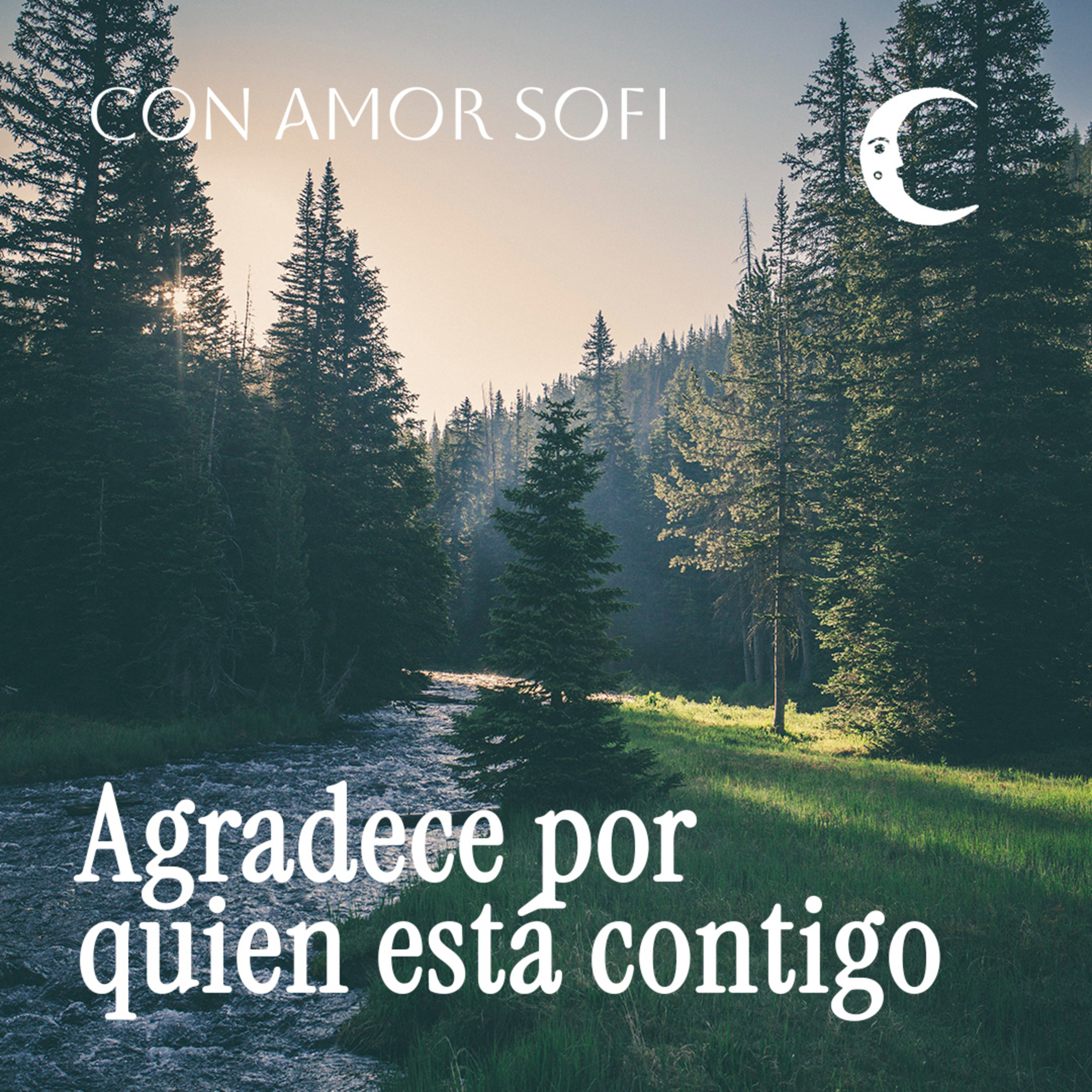Con Amor. Sofi / Meditaciones guiadas