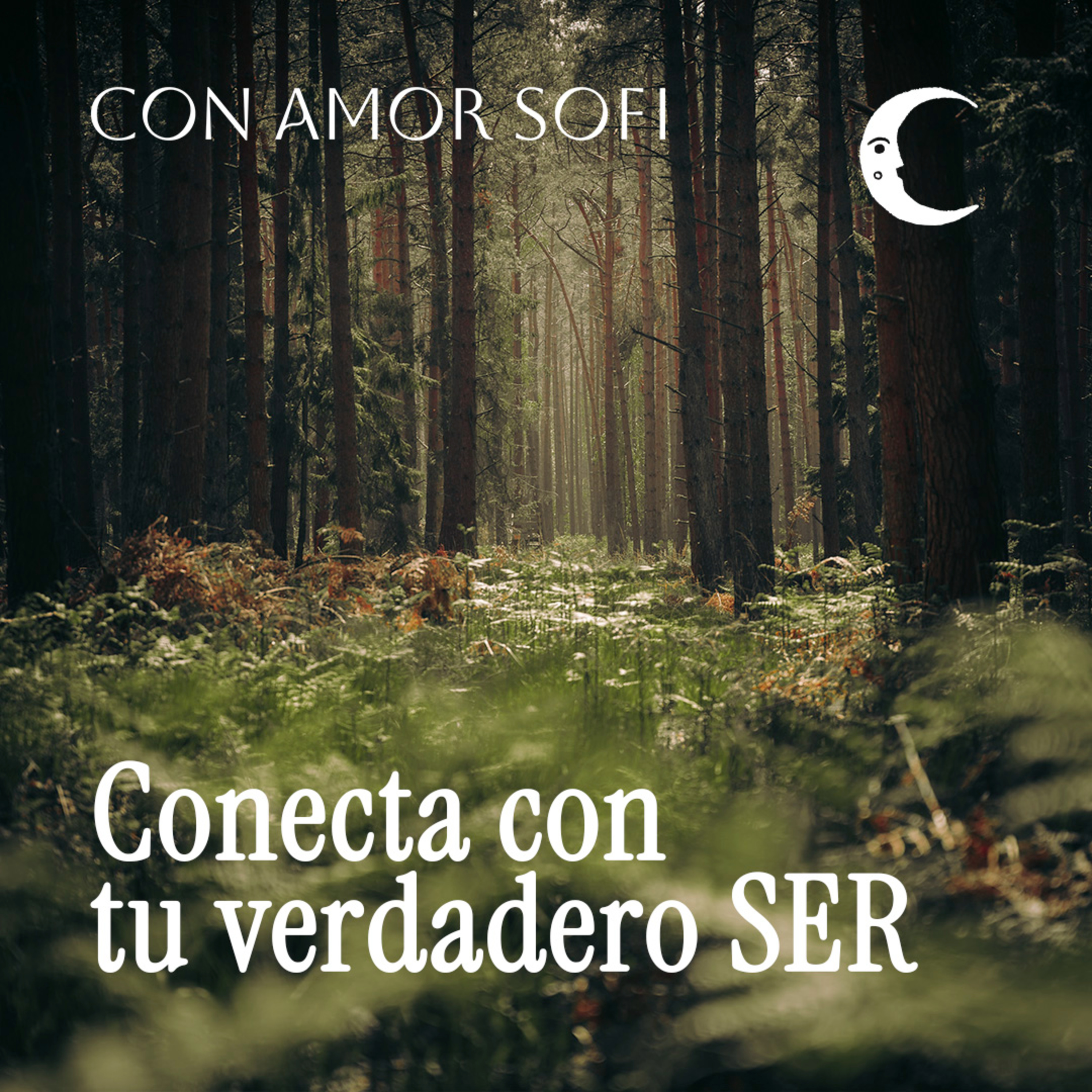 Con Amor. Sofi / Meditaciones guiadas