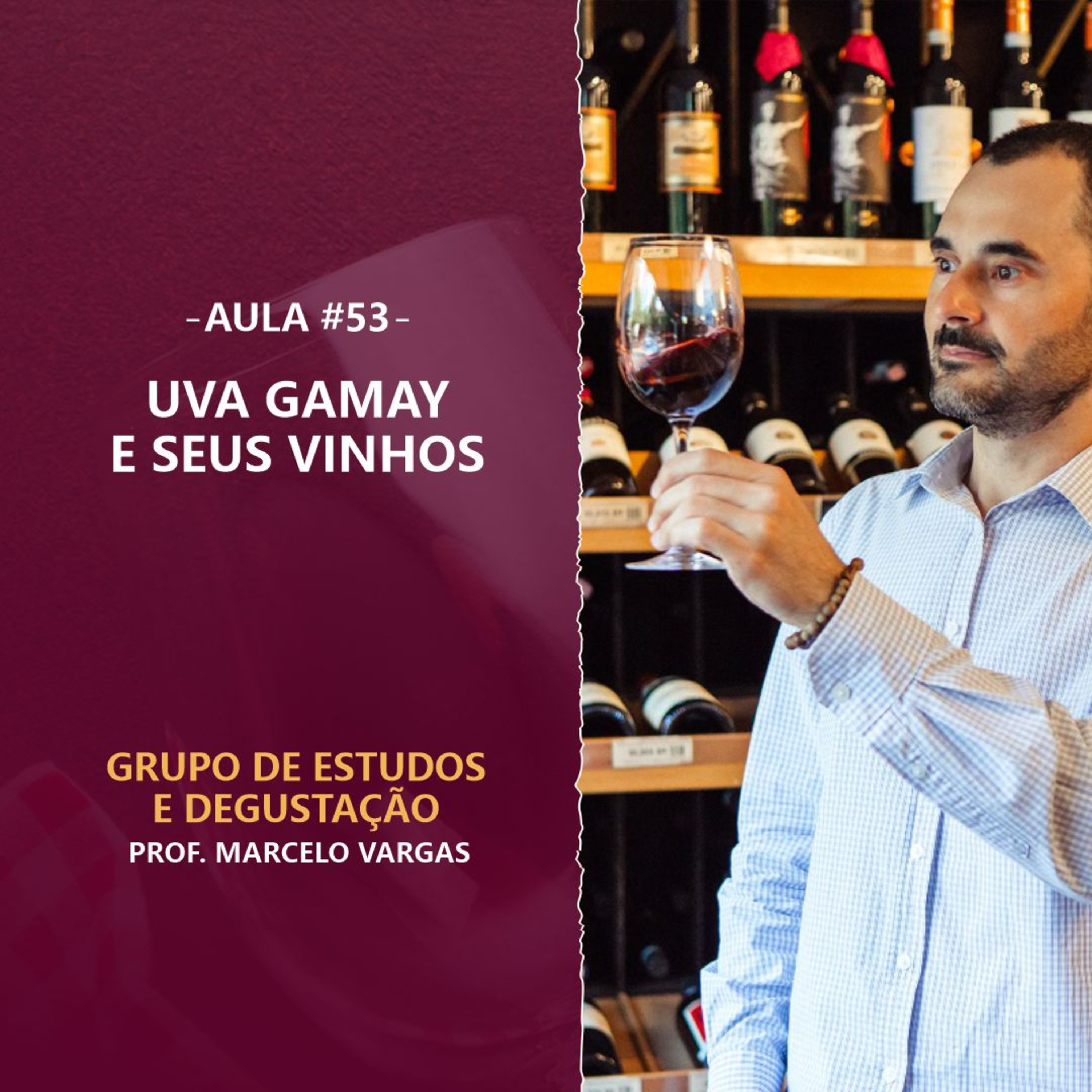 PODCAST aula 53 - Uva Gamay e seus vinhos - Prof. Marcelo Vargas episode artwork