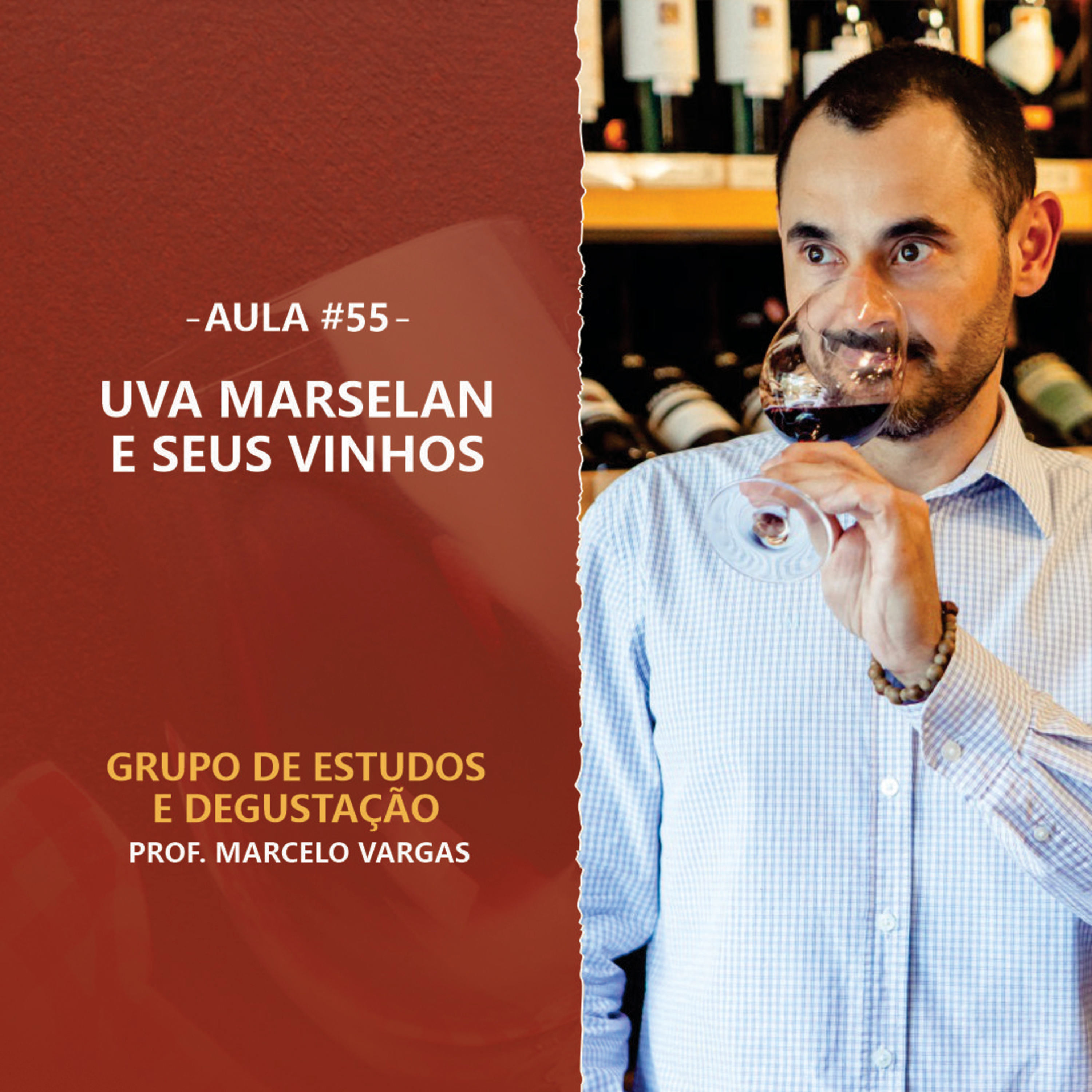 PODCAST aula 55 - Uva Marselan e seus vinhos - Prof. Marcelo Vargas episode artwork