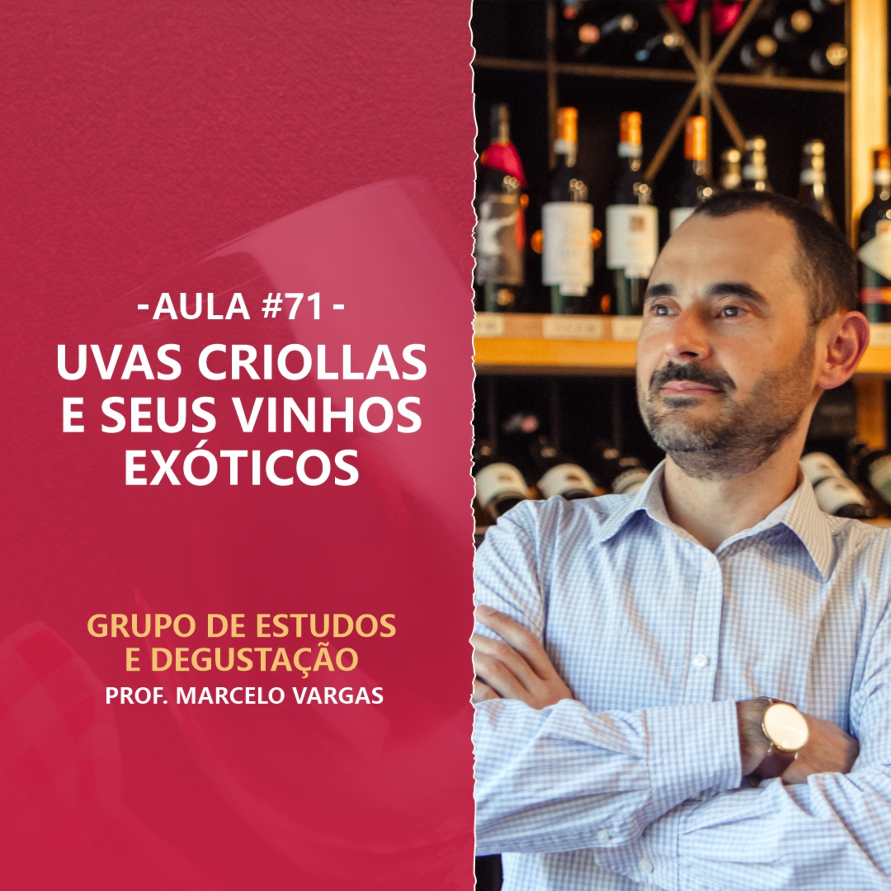 PODCAST aula 71 - Uvas Criollas e seus vinhos exóticos - Prof. Marcelo Vargas episode artwork