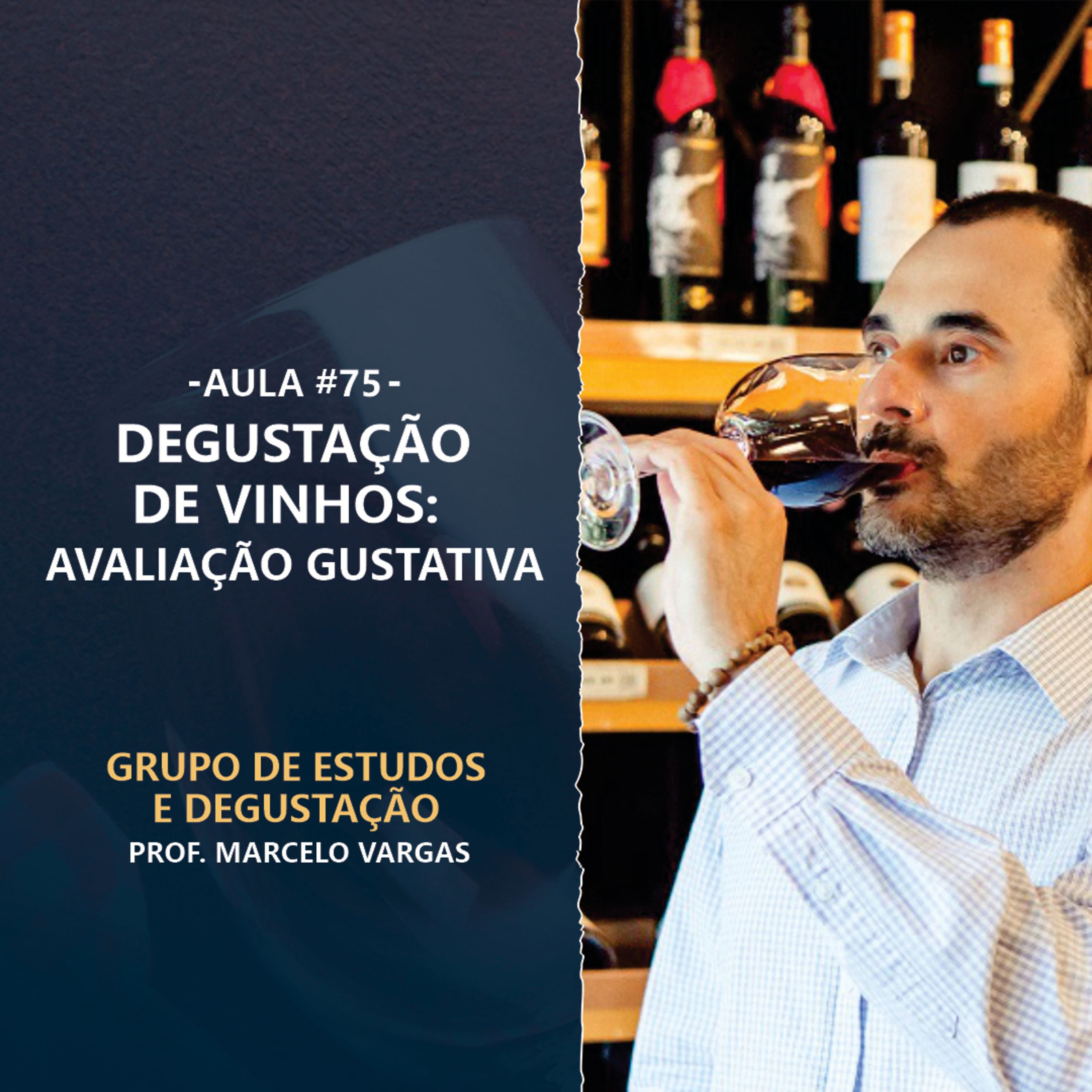 PODCAST aula 75 - Degustação de Vinhos Avaliação Gustativa - Prof. Marcelo Vargas episode artwork
