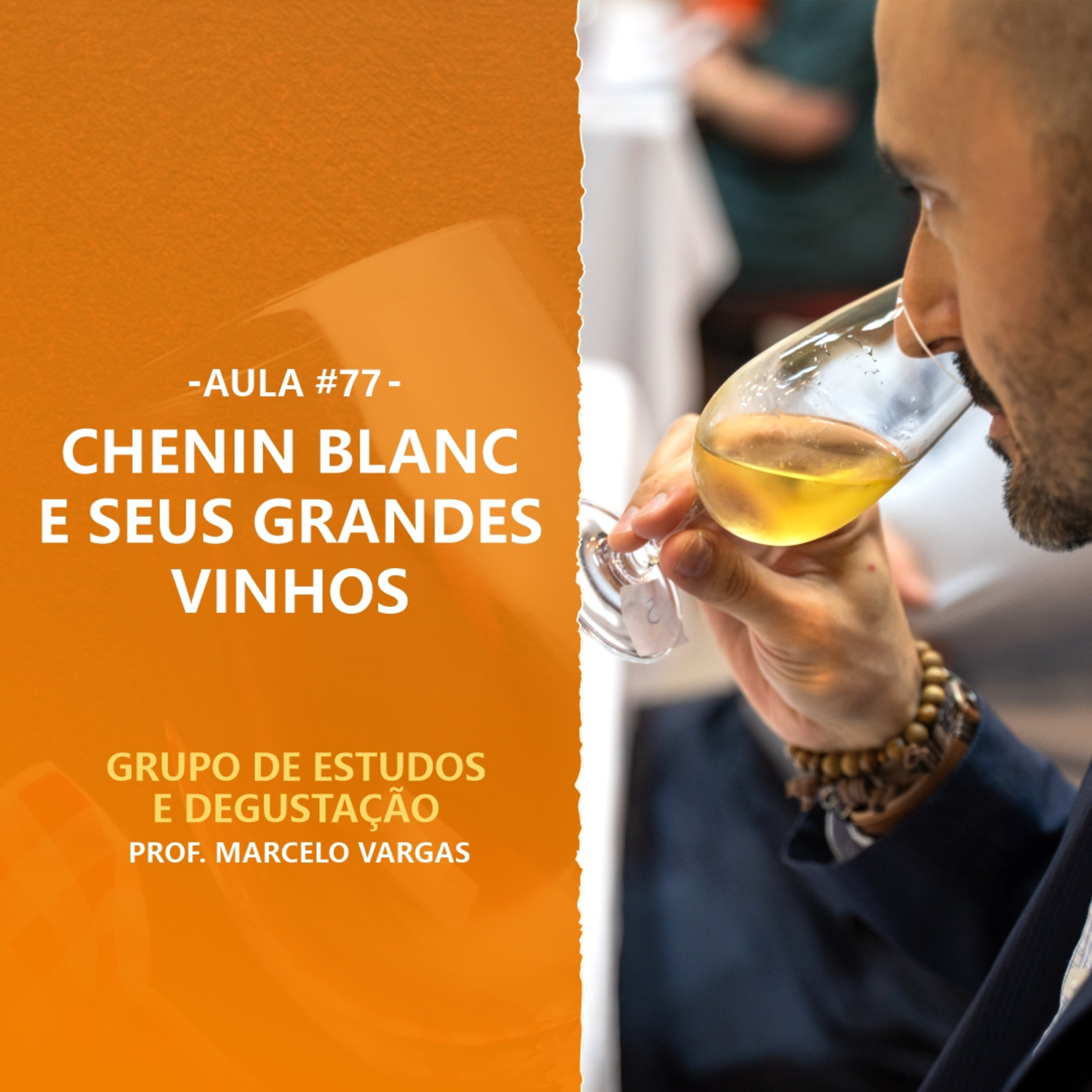 PODCAST aula 77 - Chenin Blanc e seus grandes vinhos - Prof. Marcelo Vargas episode artwork
