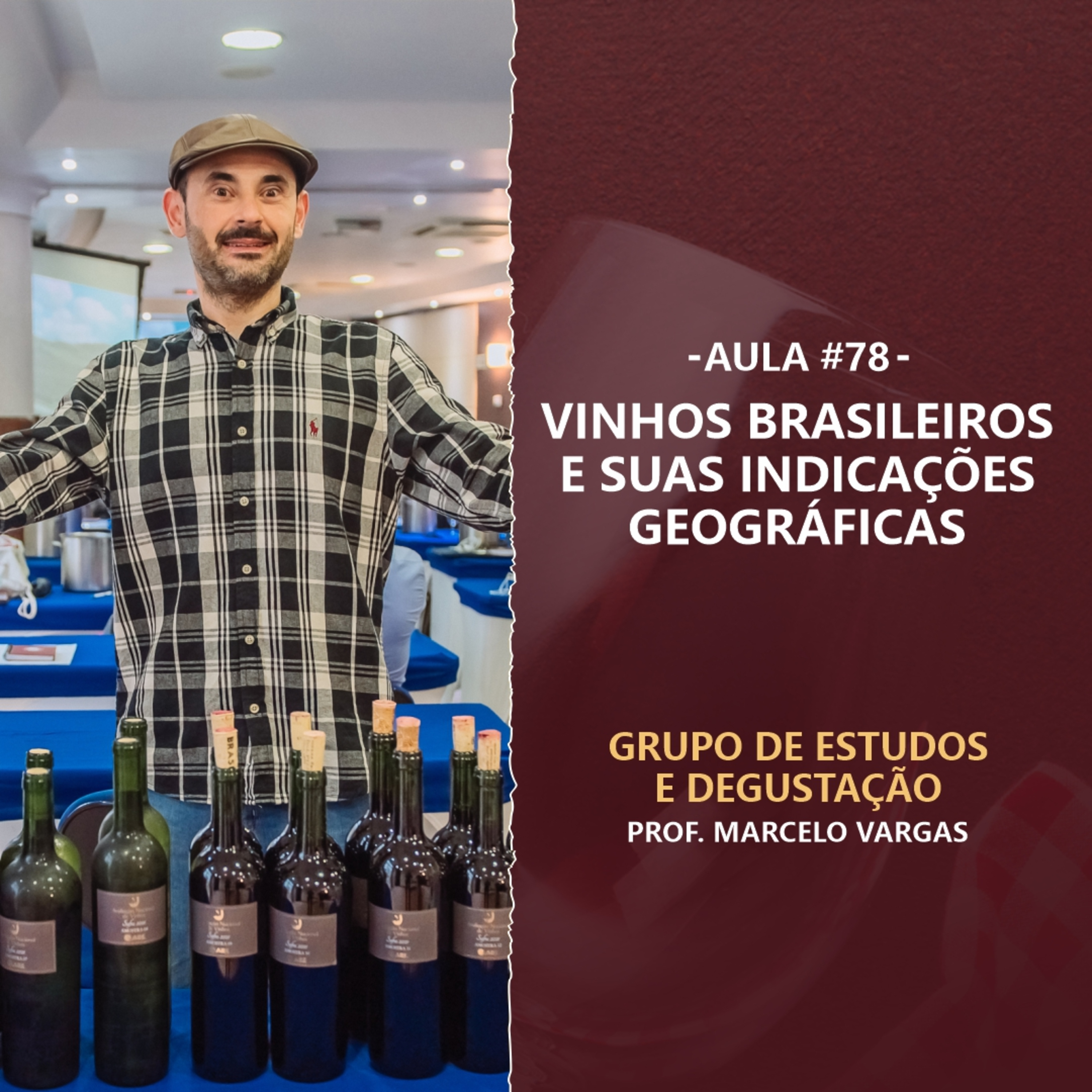 PODCAST aula 78 - Vinhos brasileiros e suas indicações geográficas - Prof. Marcelo Vargas episode artwork