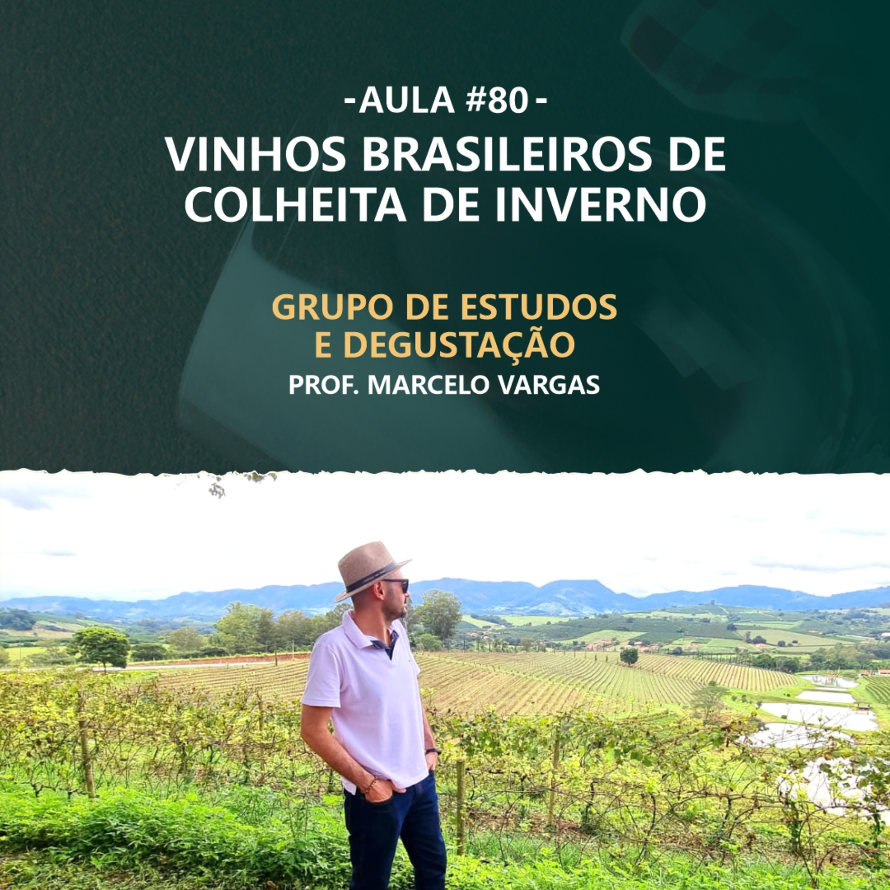 PODCAST aula 80 - Vinhos Brasileiros de Colheita de Inverno - Prof Marcelo Vargas episode artwork