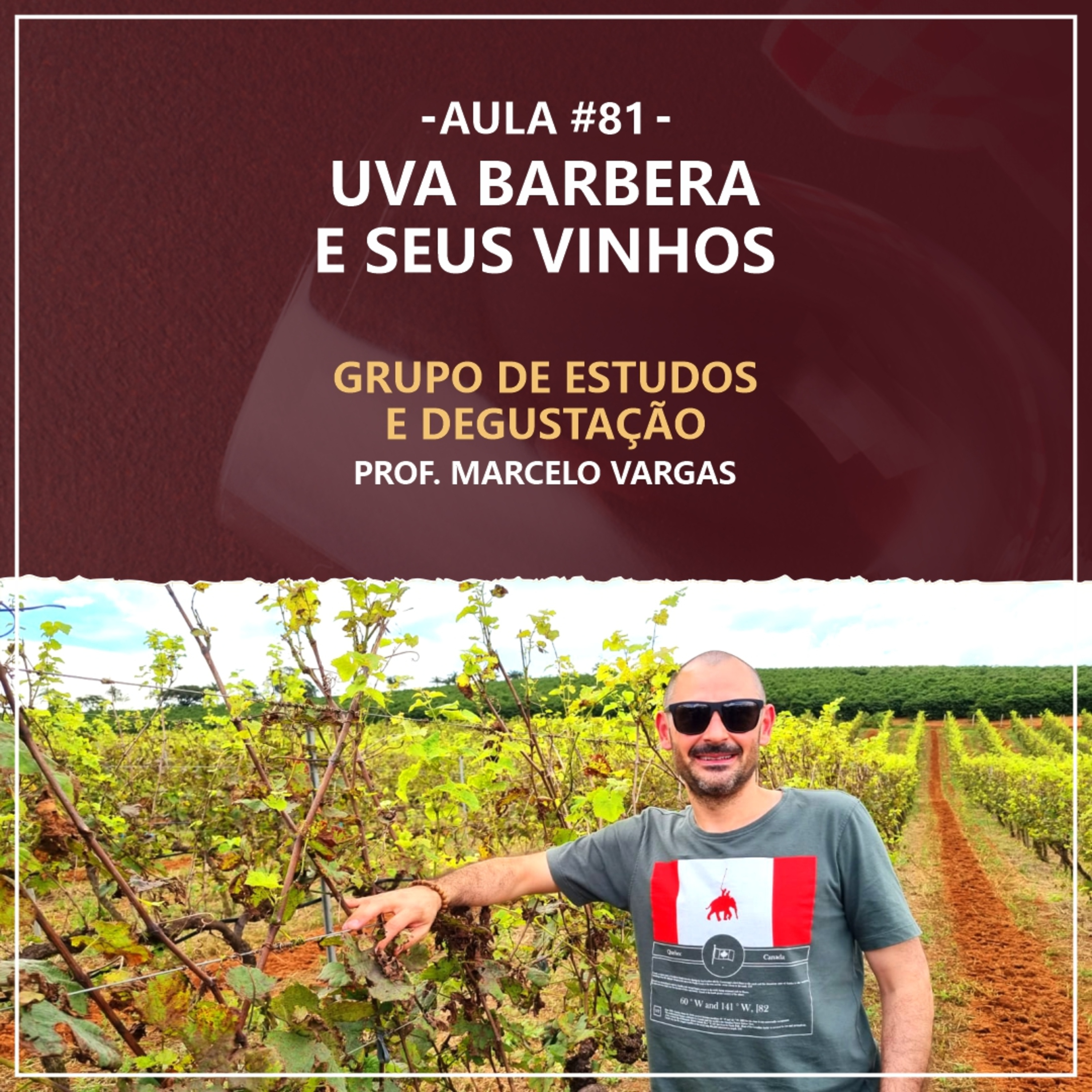 PODCAST aula 81 - Uva Barbera e seus vinhos - Prof Marcelo Vargas episode artwork