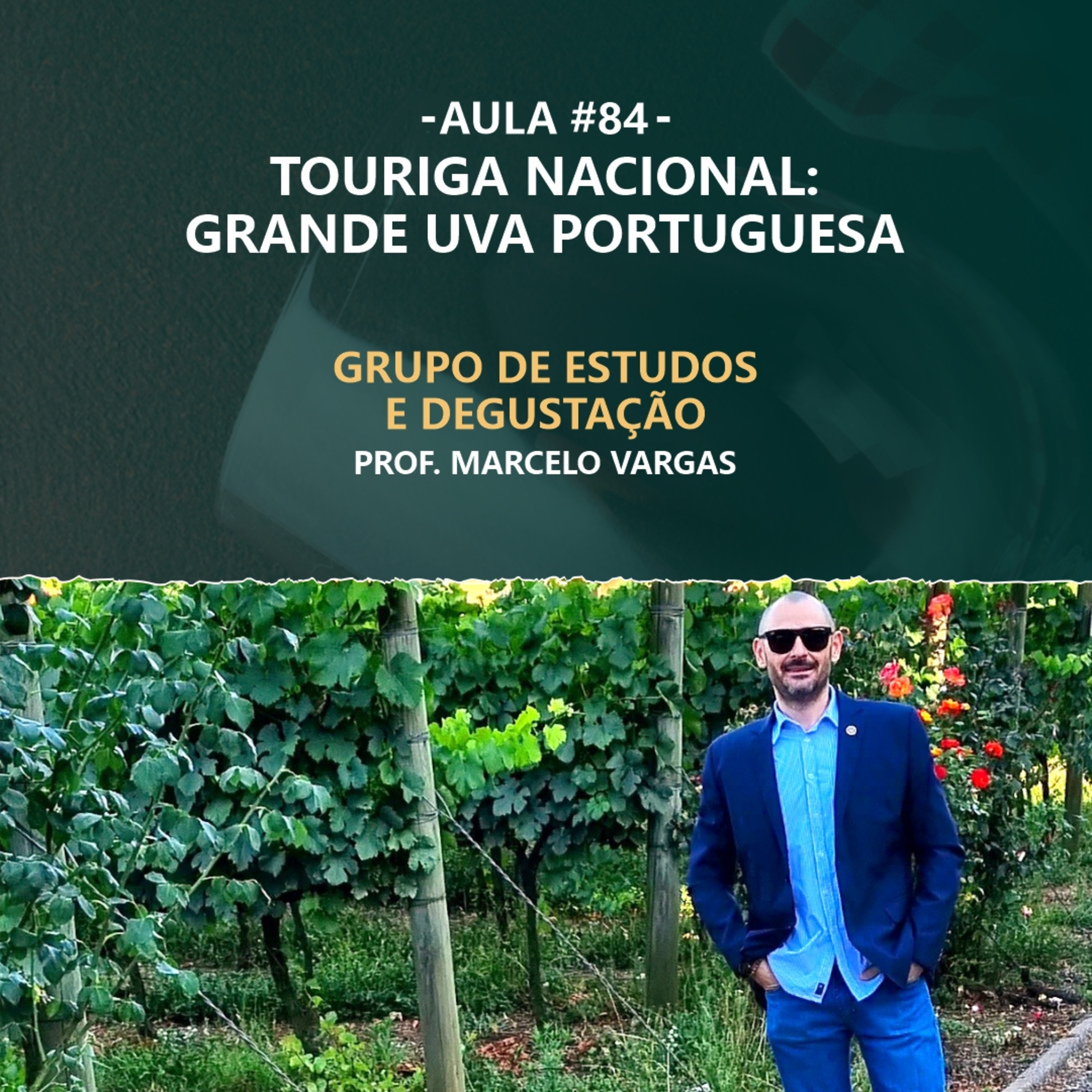 PODCAST aula 84 - Touriga Nacional: Grande uva portuguesa - Prof. Marcelo Vargas episode artwork