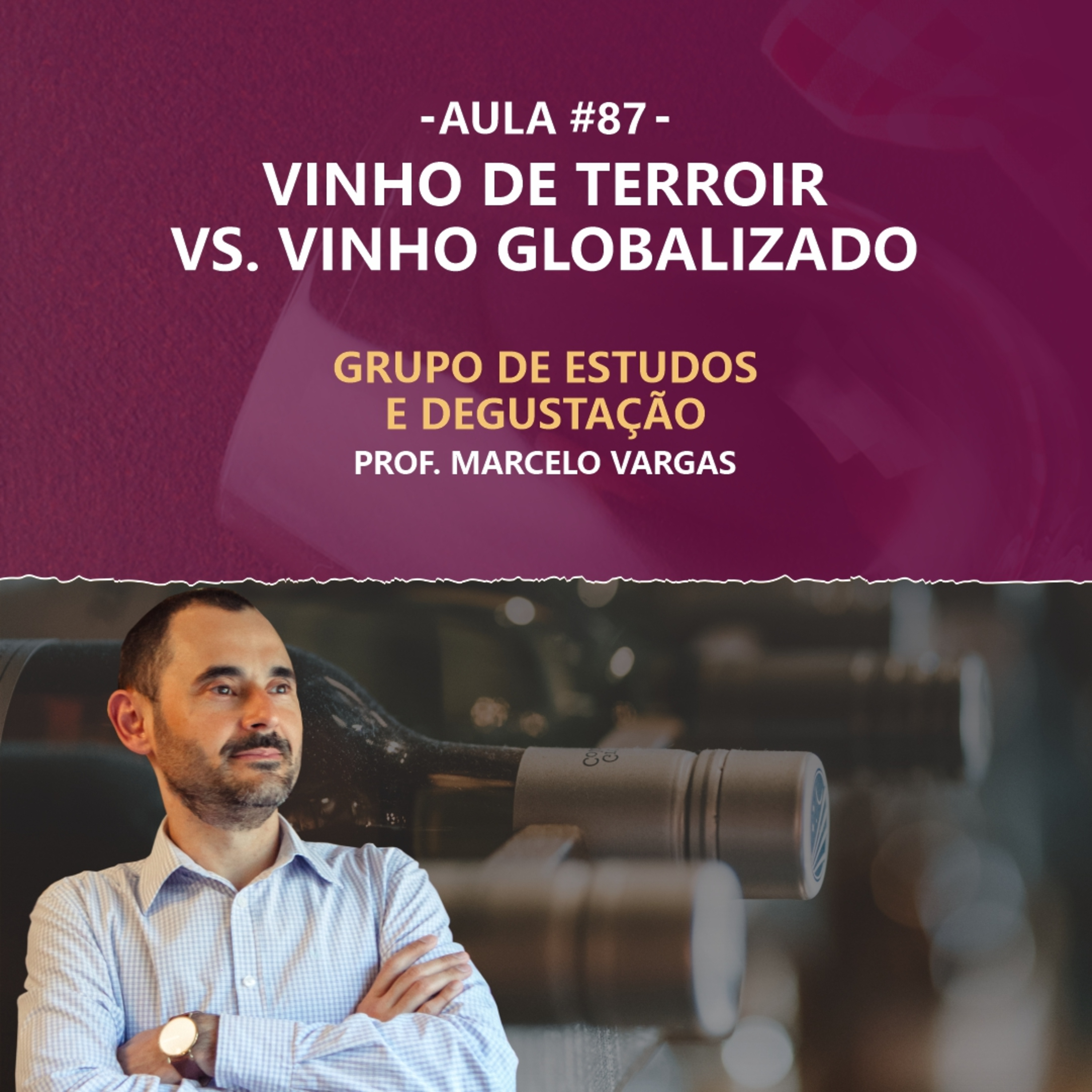PODCAST aula 87 - Vinhos de Terroir VS. Vinho Globalizado - Prof. Marcelo Vargas episode artwork
