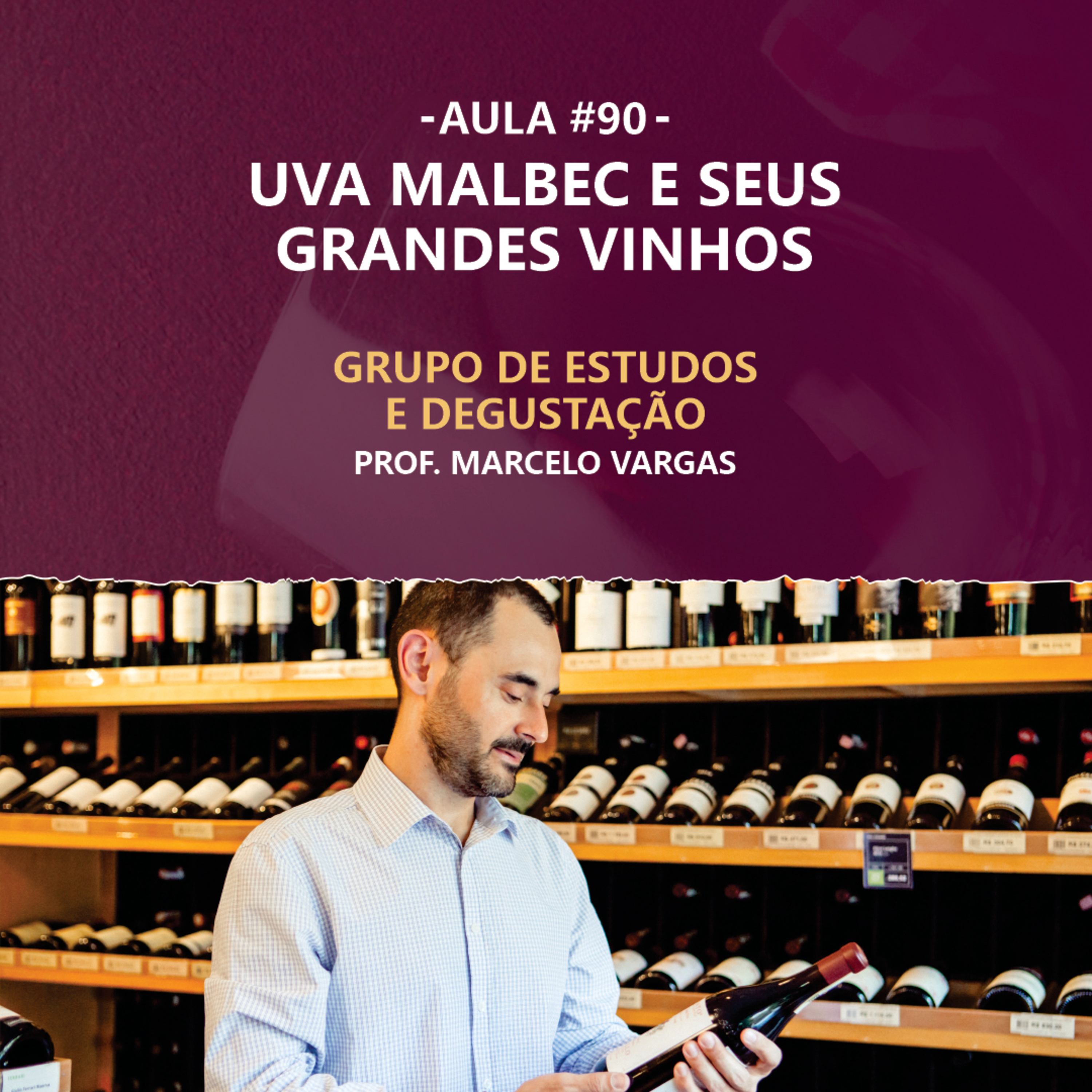 PODCAST aula 90 - Uva Malbec e seus grandes vinhos - Prof Marcelo Vargas episode artwork
