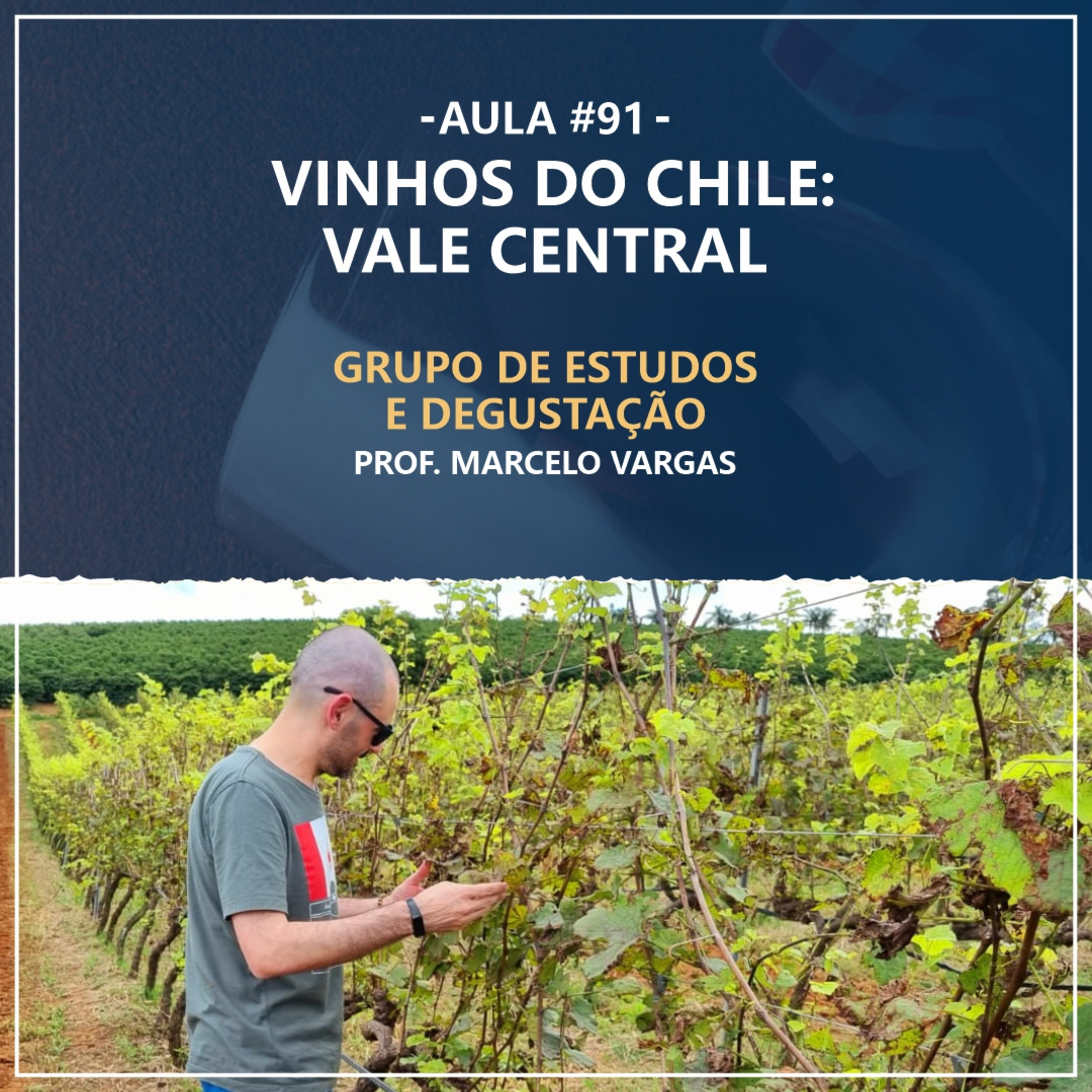 PODCAST aula 91 - Vinhos do Chile: Vale Central - Prof. Marcelo Vargas episode artwork