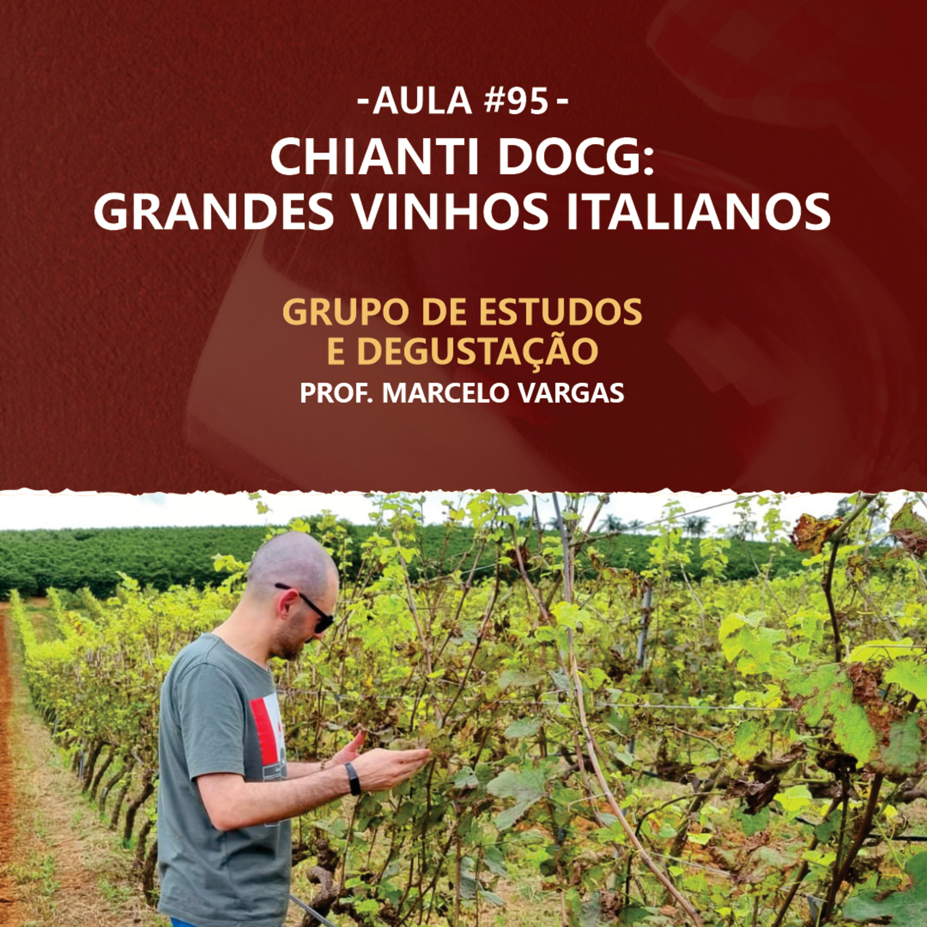 PODCAST aula 95 - Chianti DOCG: Grandes vinhos italianos - Prof. Marcelo Vargas episode artwork
