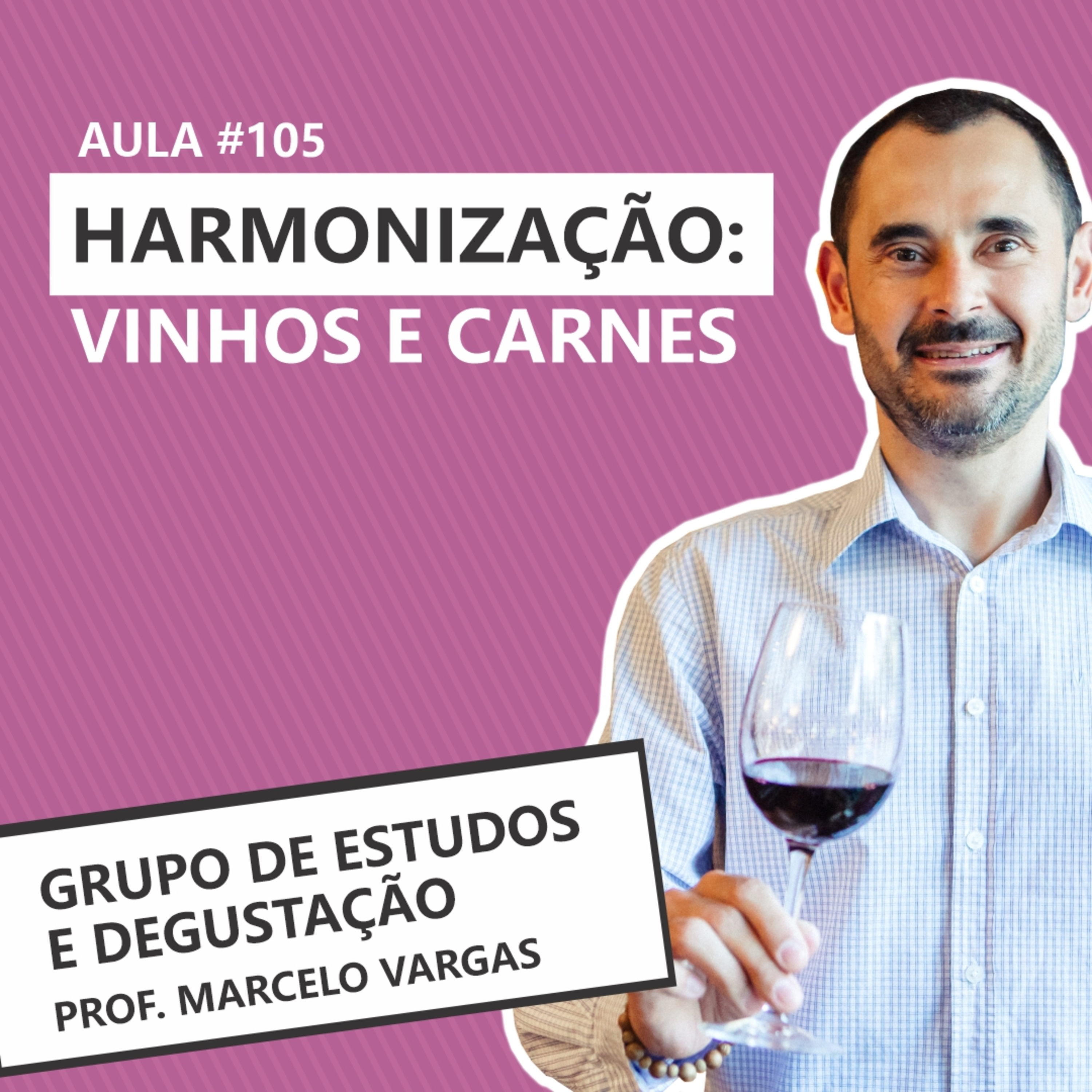 Aula 105 - Harmonização vinhos e carnes - Prof. Marcelo Vargas