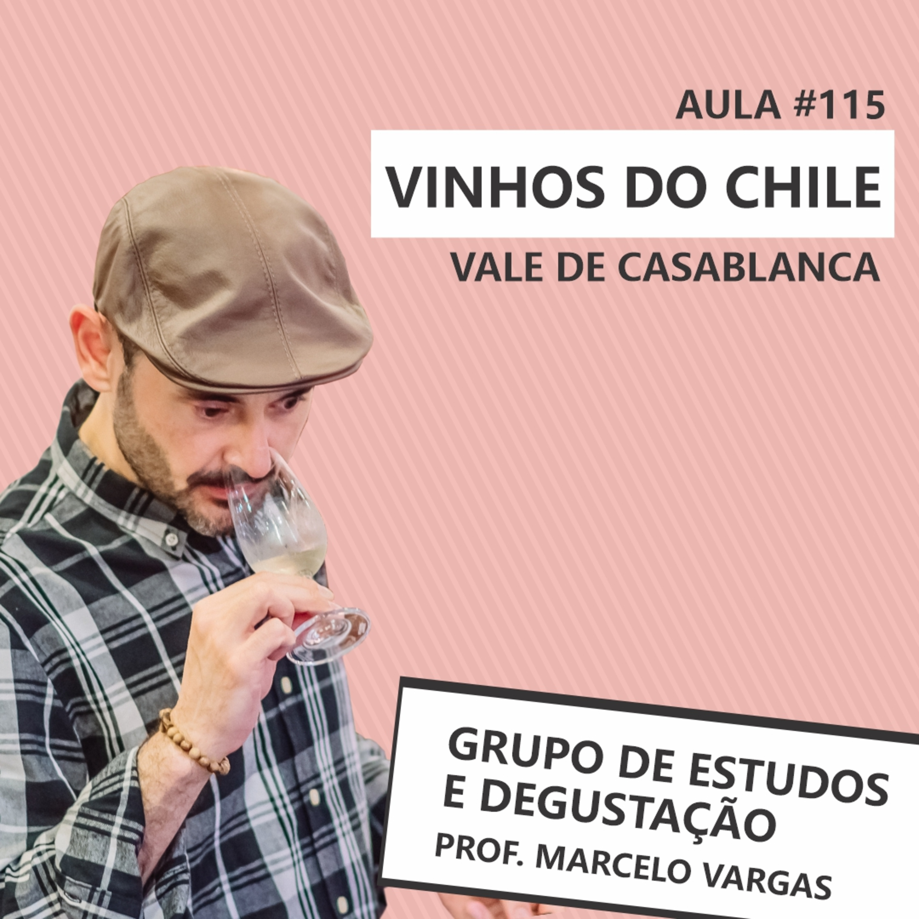Podcast aula 115 - Vinhos do Chile - Vale de Casablanca - Prof. Marcelo Vargas episode artwork