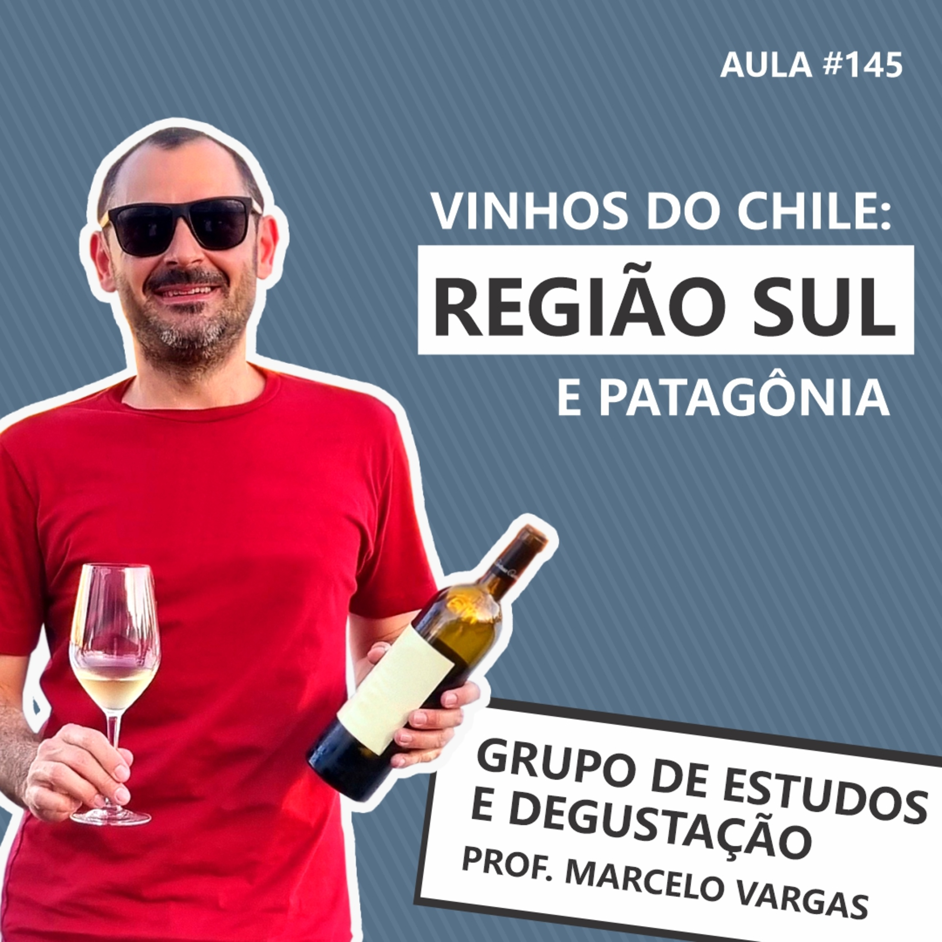 PODCAST aula 145 - Vinhos do Chile: região sul e Patagônia - Prof. Marcelo Vargas episode artwork