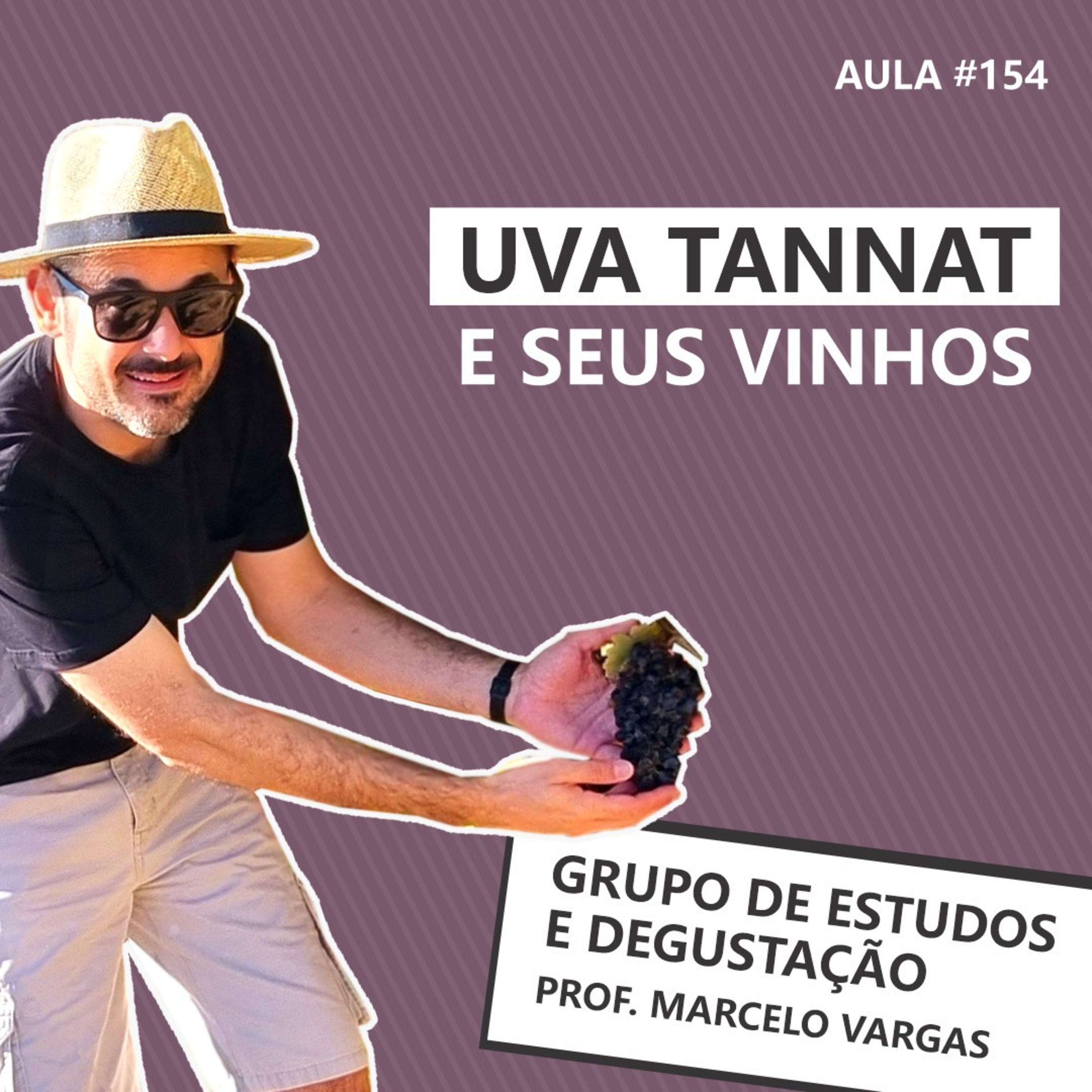 PODCAST aula 154 - Uva Tannat e seus vinhos- Prof. Marcelo Vargas episode artwork