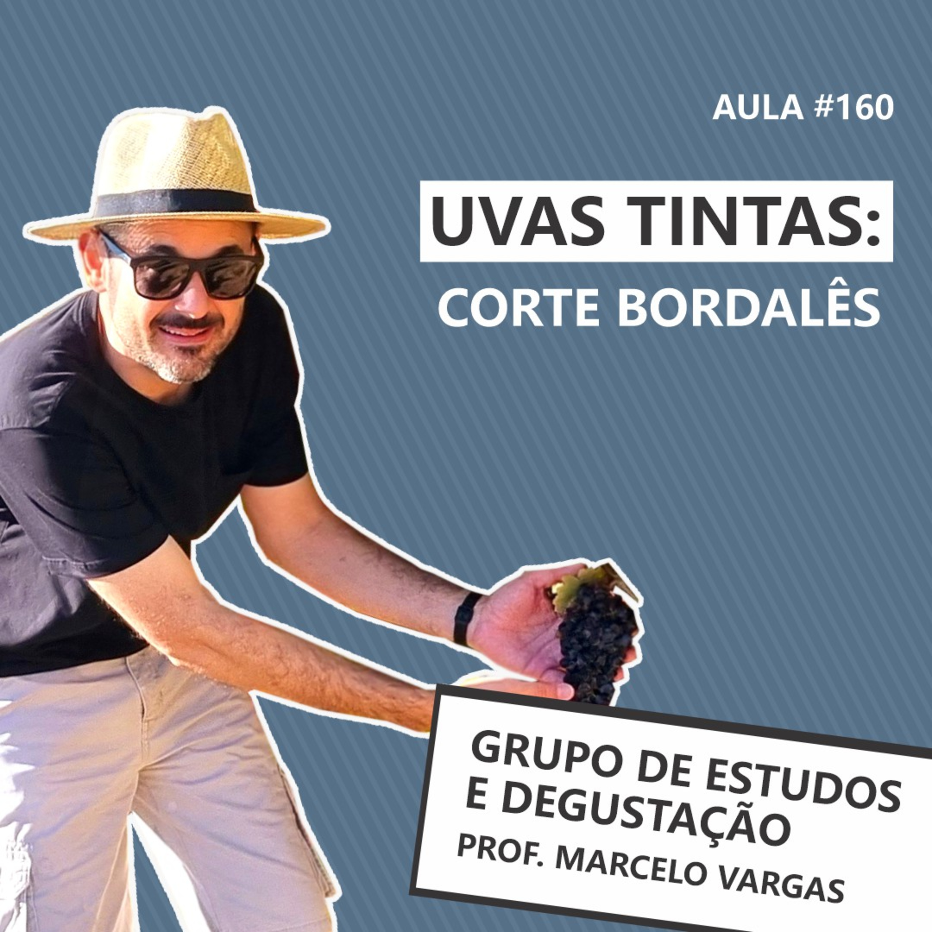 PODCAST aula 160 - Uvas tintas: Corte Bordalês - Prof. Marcelo Vargas episode artwork