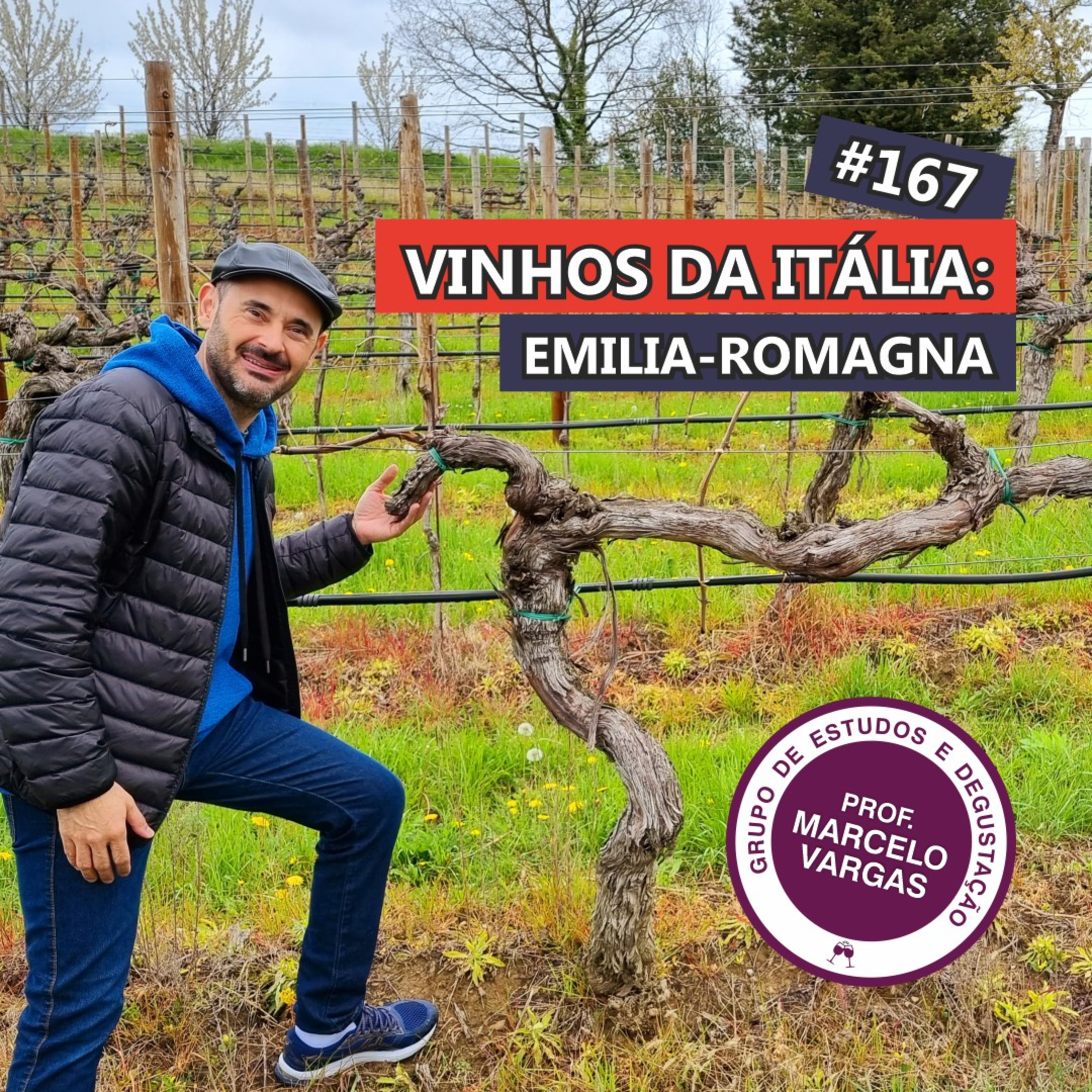 PODCAST aula 167 - Vinhos da Itália: Emilia-Romagna - Prof. Marcelo Vargas episode artwork