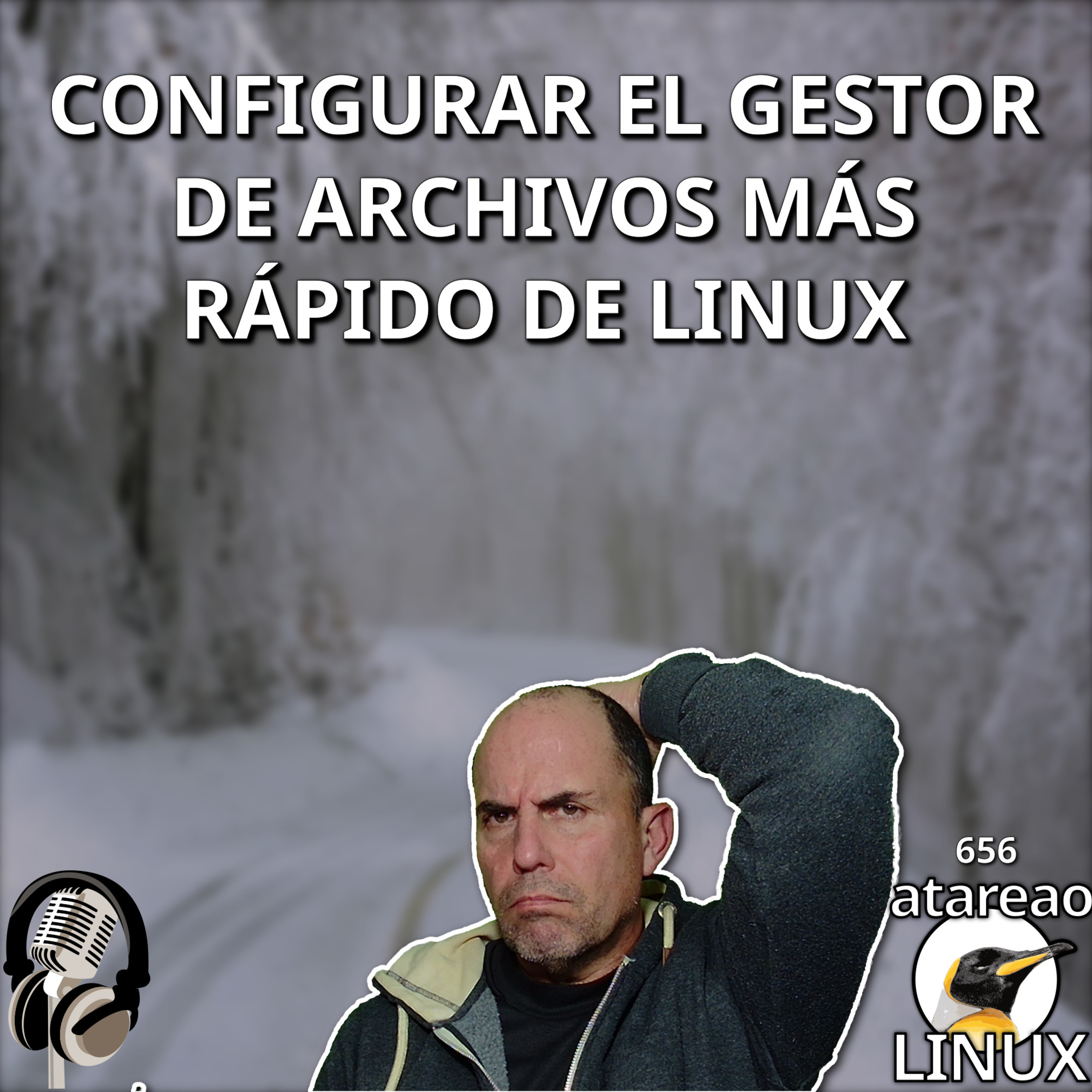 ATA 656 Configurar el gestor de archivos más rápido de Linux episode artwork