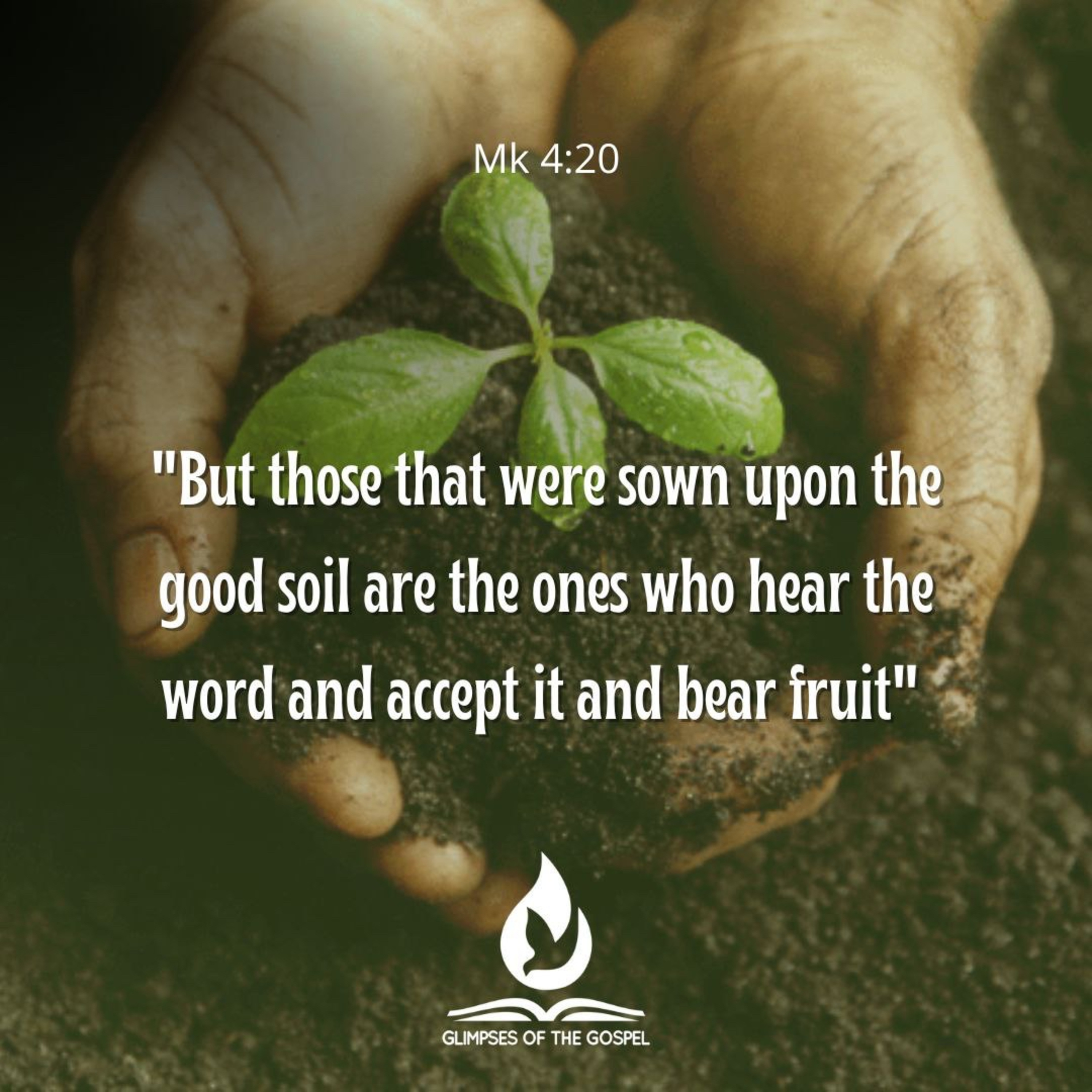 Glimpses of the Gospel