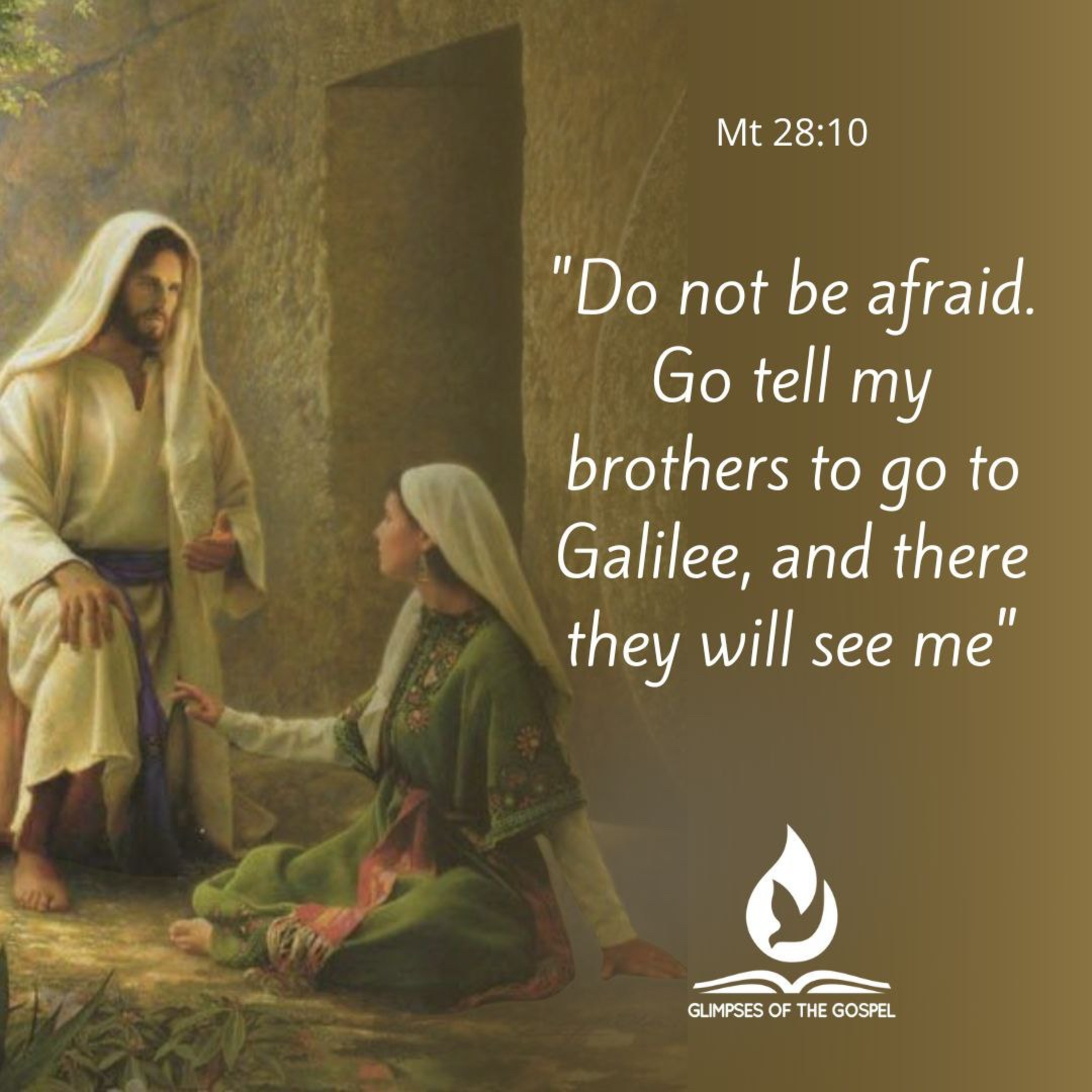 Glimpses of the Gospel