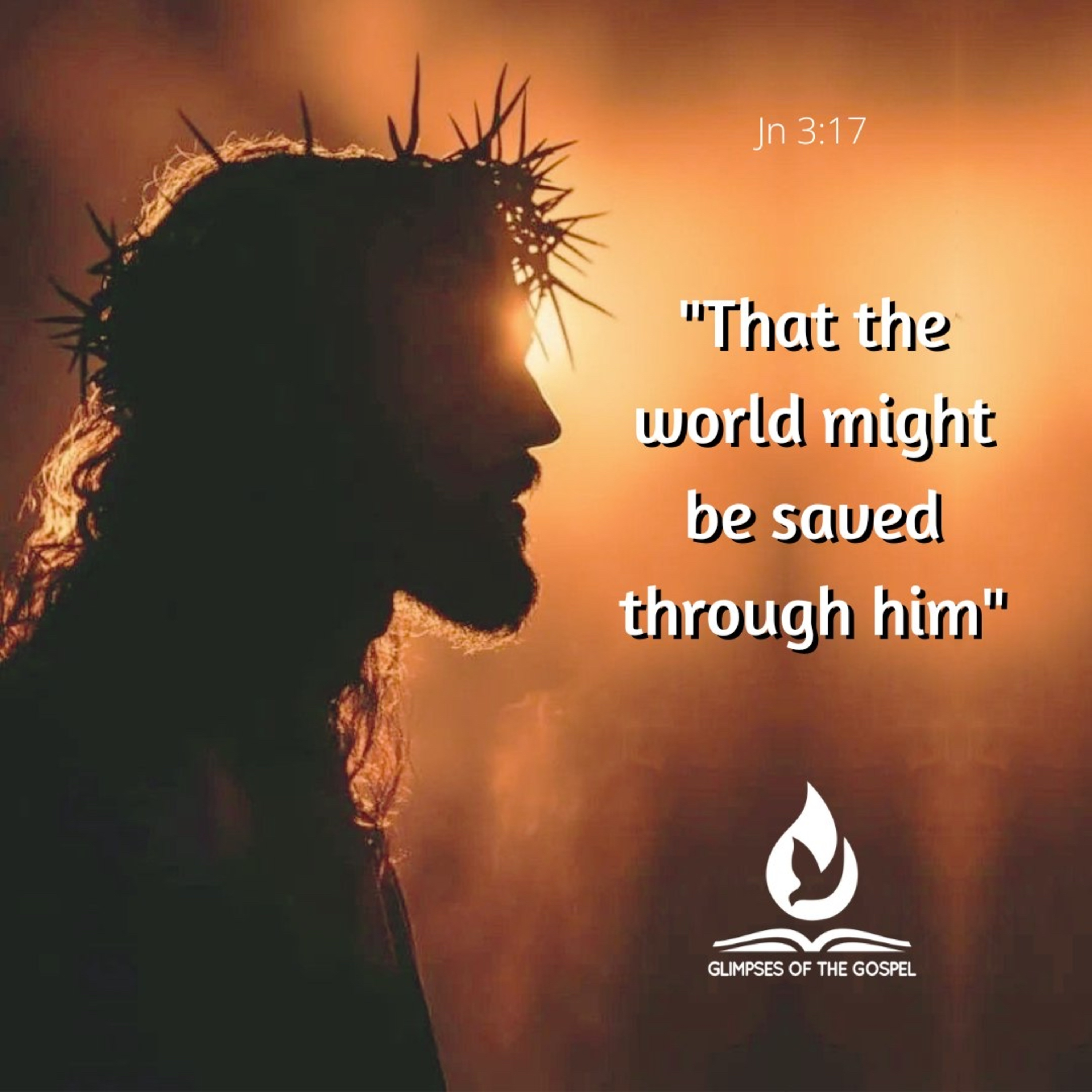 Glimpses of the Gospel